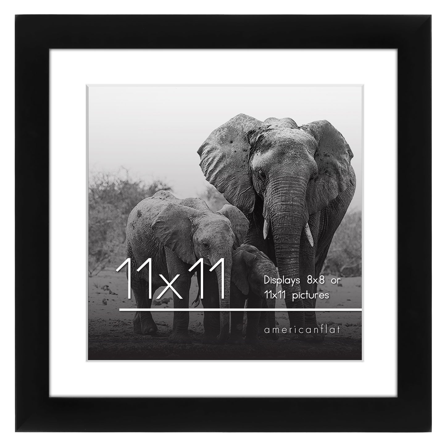 Gallery Picture Frame with Mat | Signature Collection