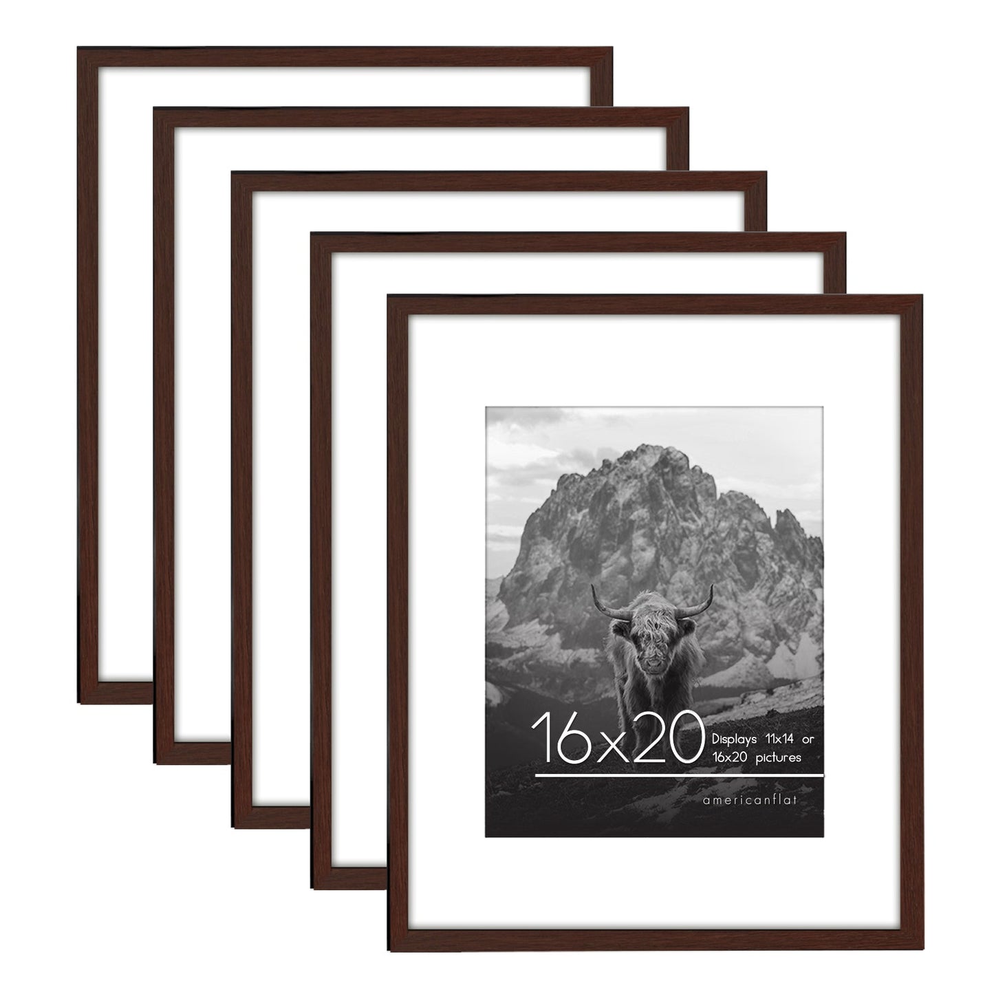Set of 5 - Classic Gallery Picture Frame with Mat | Galleria Collection