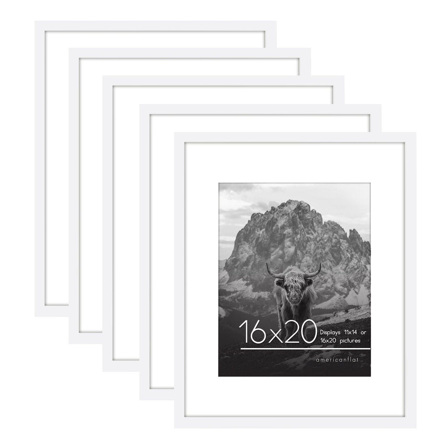 Set of 5 - Classic Gallery Picture Frame with Mat | Galleria Collection