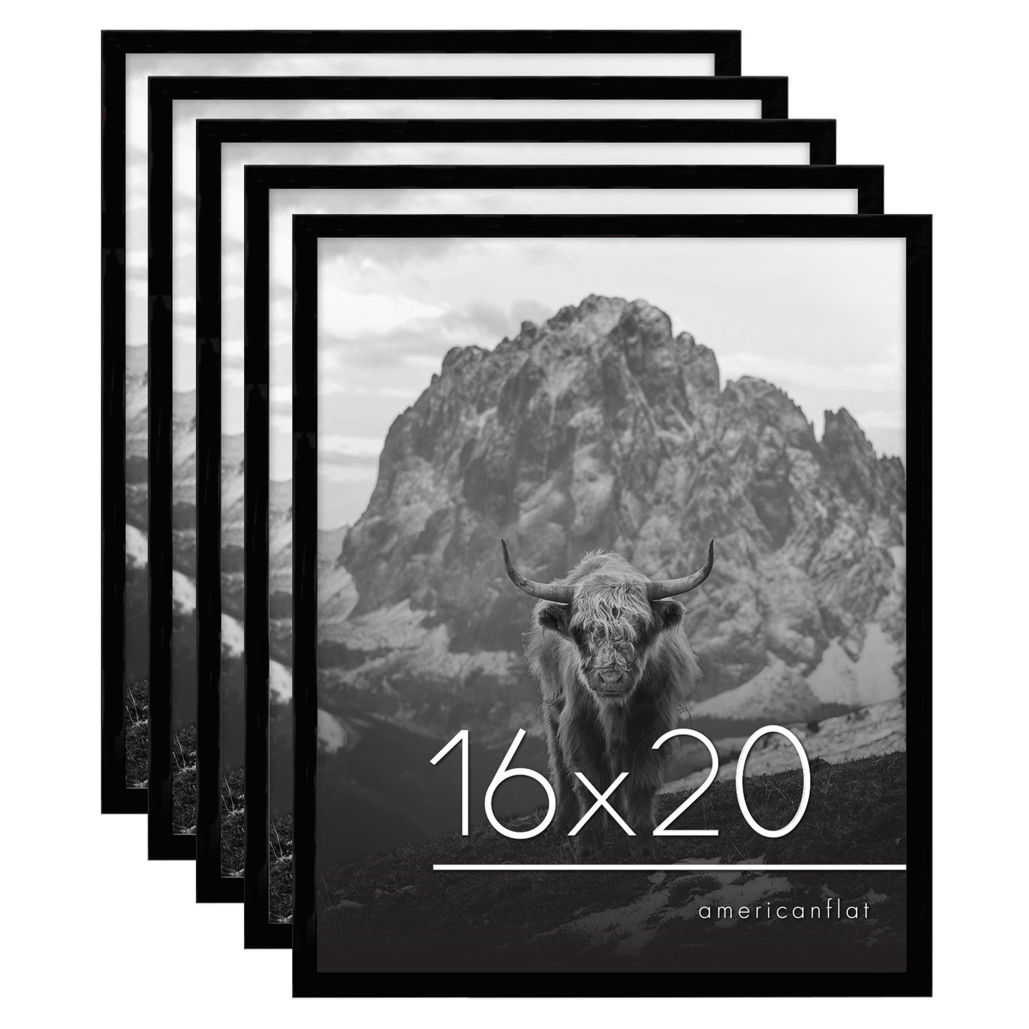 Set of 5 - Classic Gallery Picture Frame without Mat | Galleria Collection