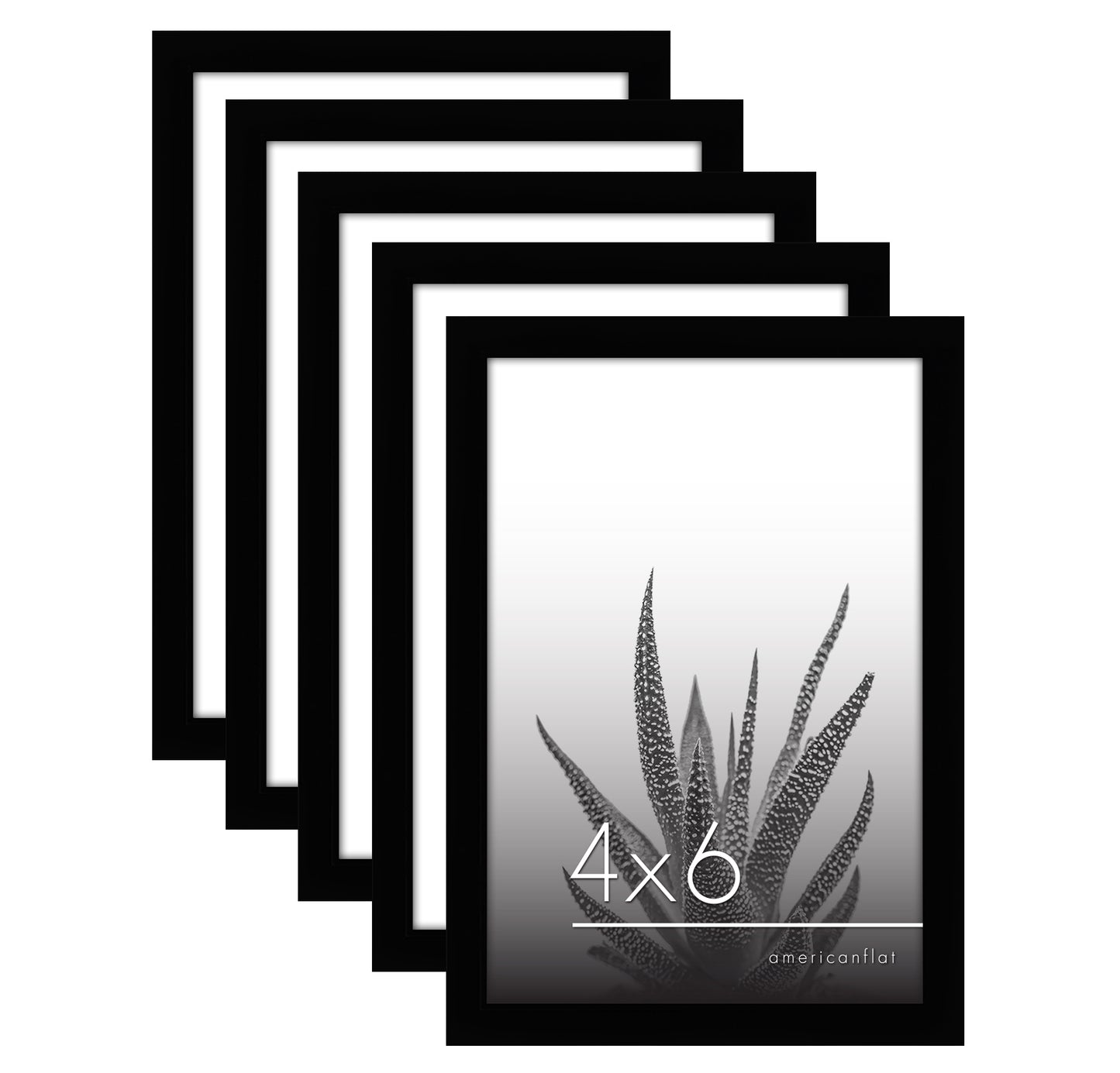 Set of 5 - Classic Gallery Picture Frame without Mat | Galleria Collection
