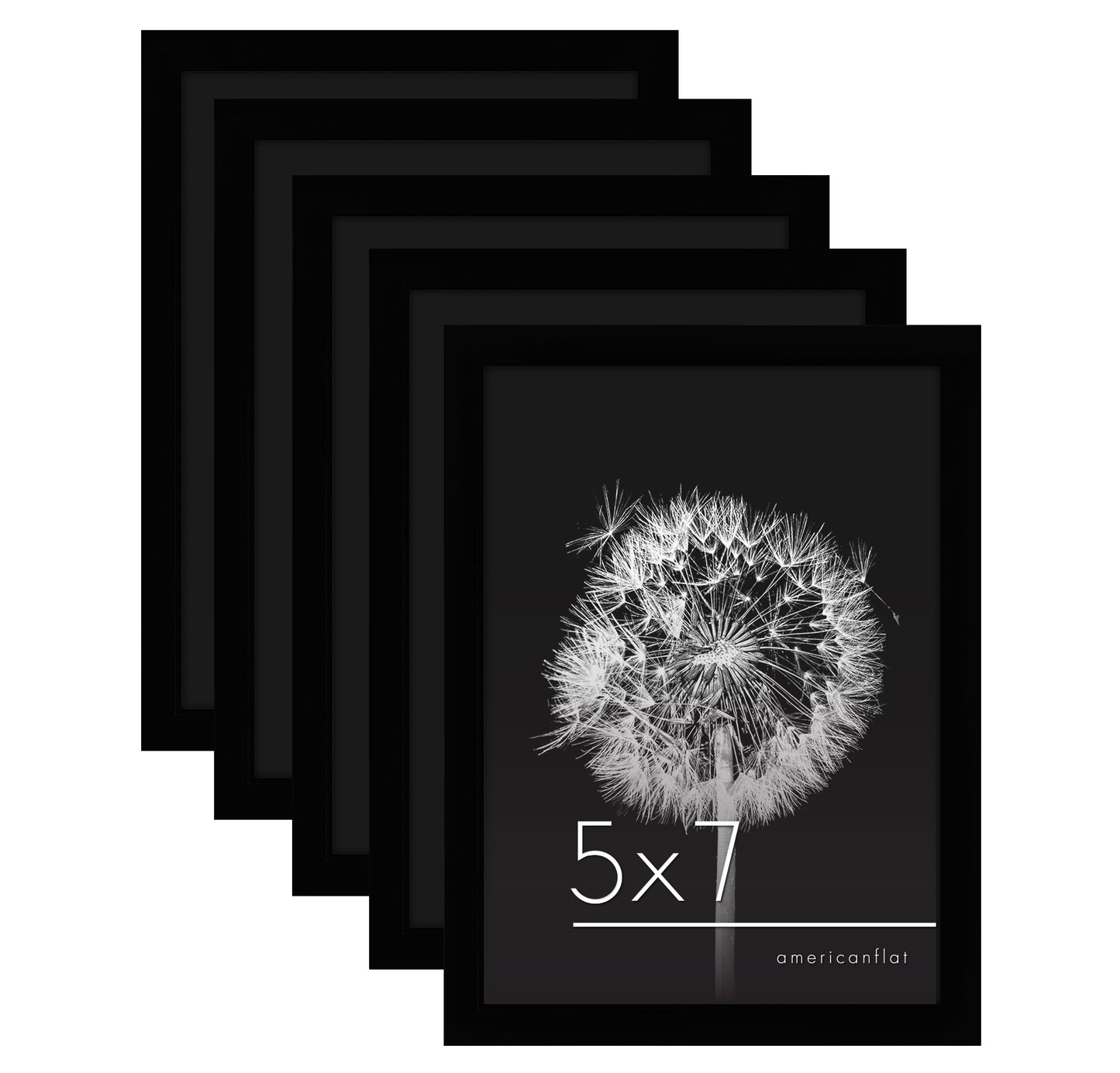 Set of 5 - Classic Gallery Picture Frame without Mat | Galleria Collection