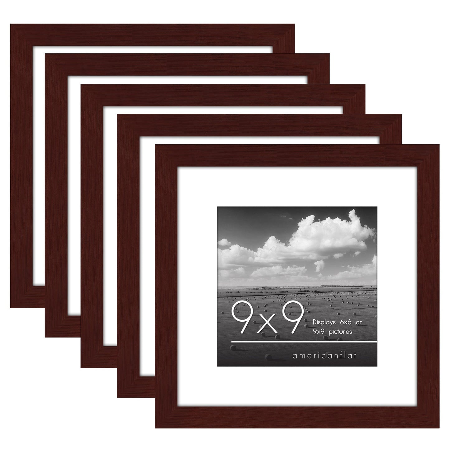 Set of 5 - Classic Gallery Picture Frame with Mat | Galleria Collection