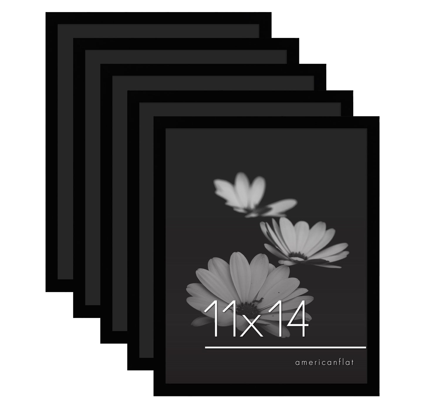 Set of 5 - Classic Gallery Picture Frame without Mat | Galleria Collection
