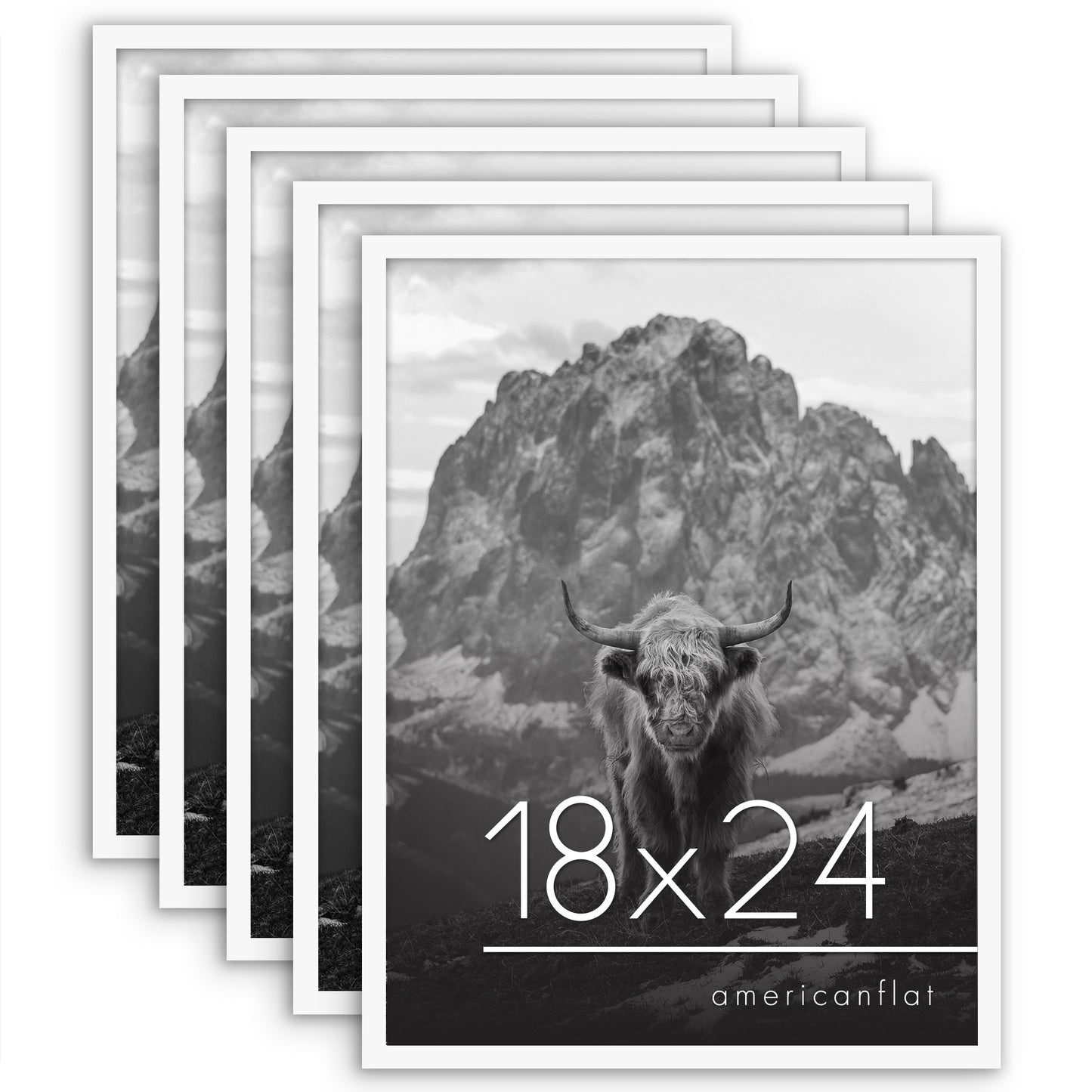 Set of 5 - Classic Gallery Picture Frame without Mat | Galleria Collection