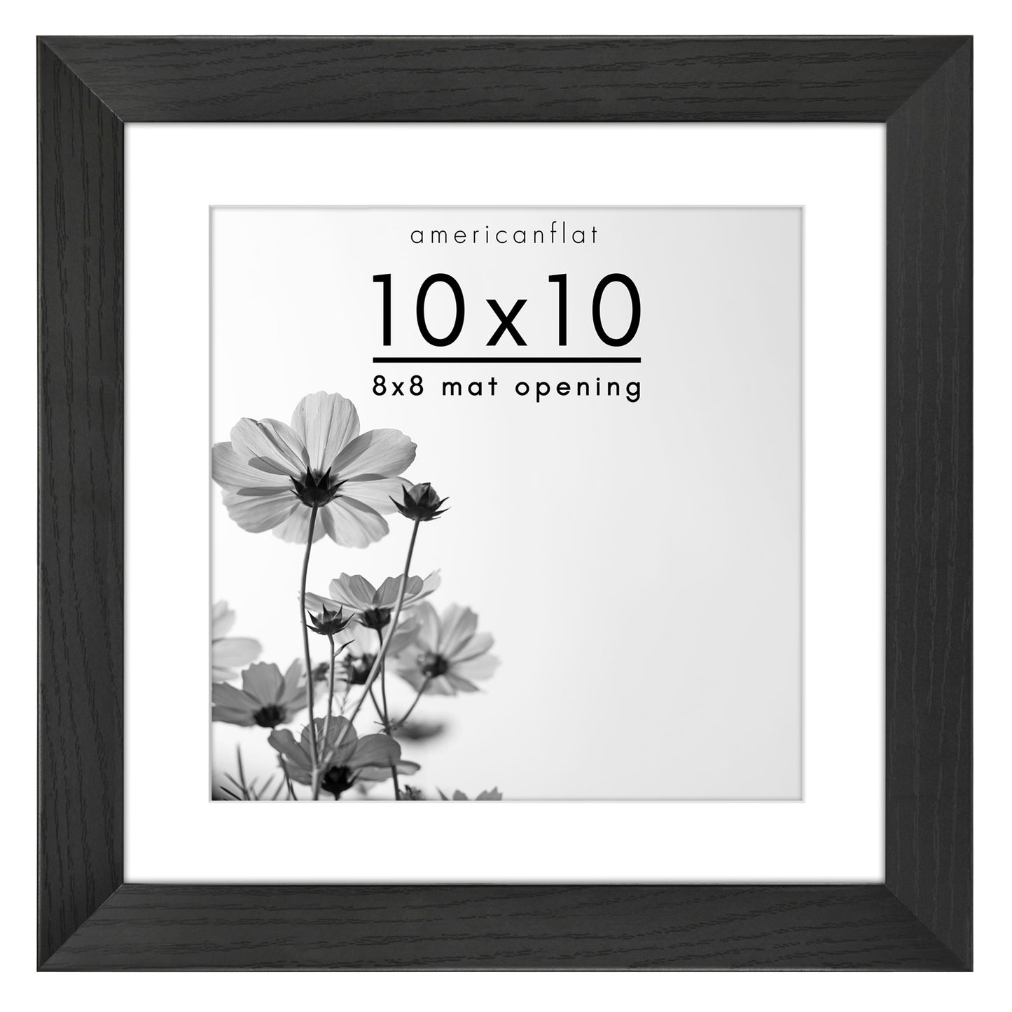 Gallery Picture Frame with Mat | Signature Collection