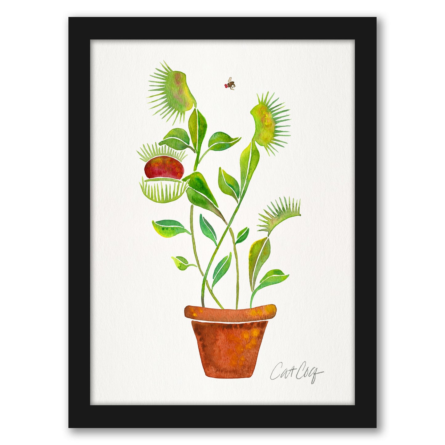 Venus Fly Trap by Cat Coquillette - Framed Print