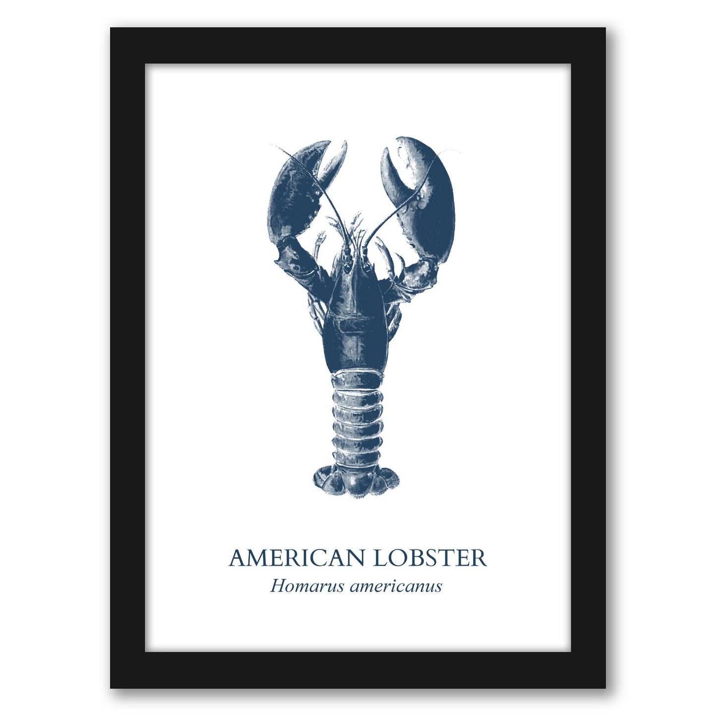 Lobster Sea by Samantha Ranlet - Framed Print