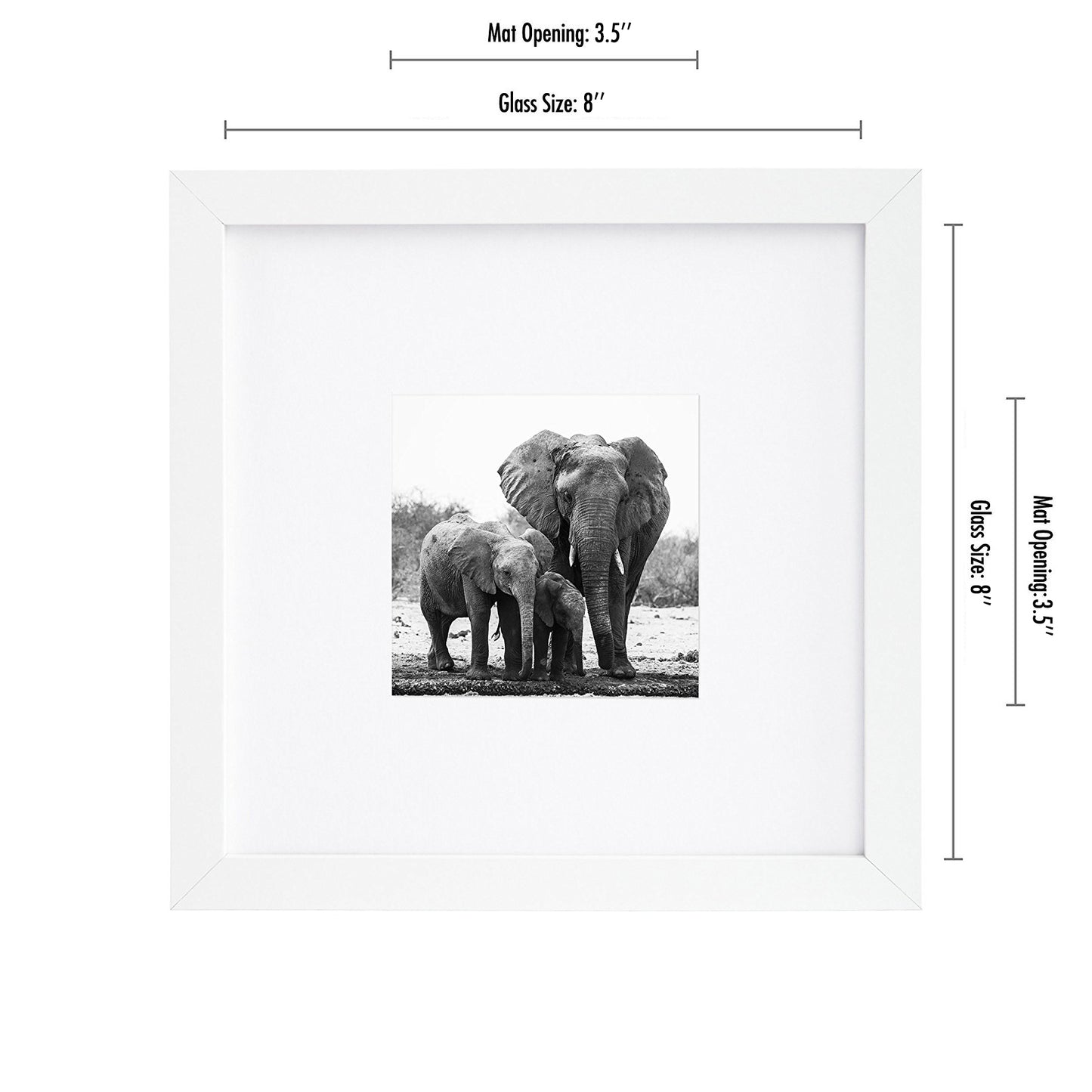 Picture Frame in White with Shatter Resistant Glass and Easel Stand for Wall and Tabletop - 8" x 8" - Pack of 15 - Picture Frame - Americanflat