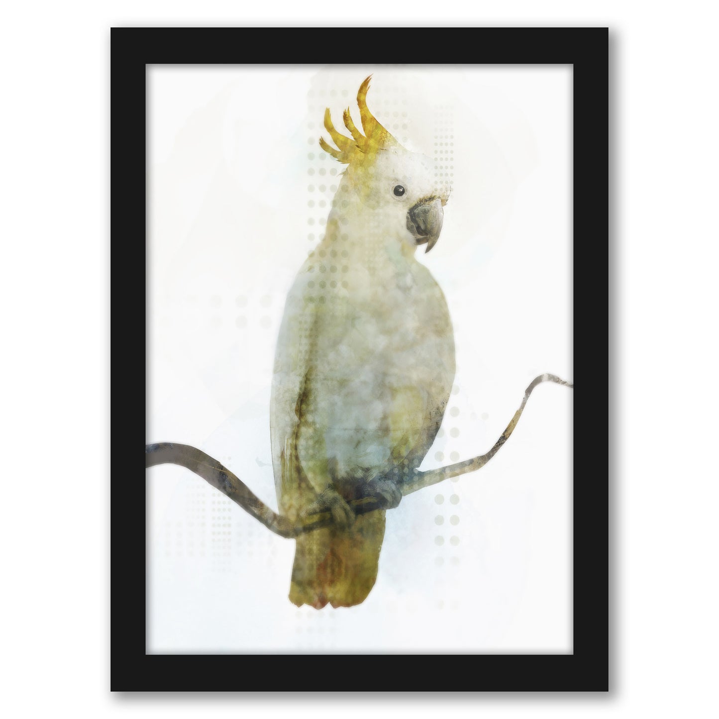 Cockatoo by PI Creative Art - Framed Print