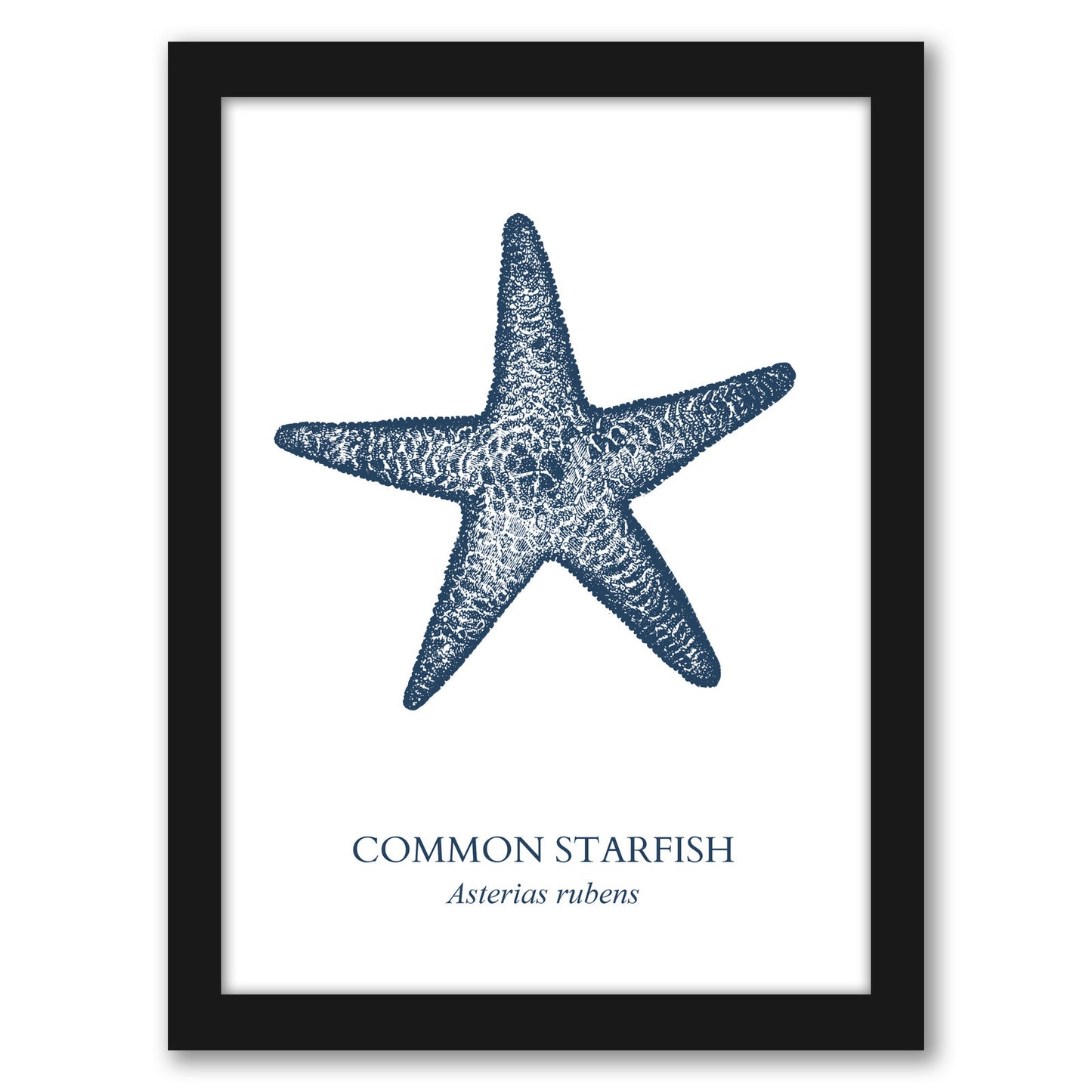 Starfish Sea by Samantha Ranlet - Framed Print