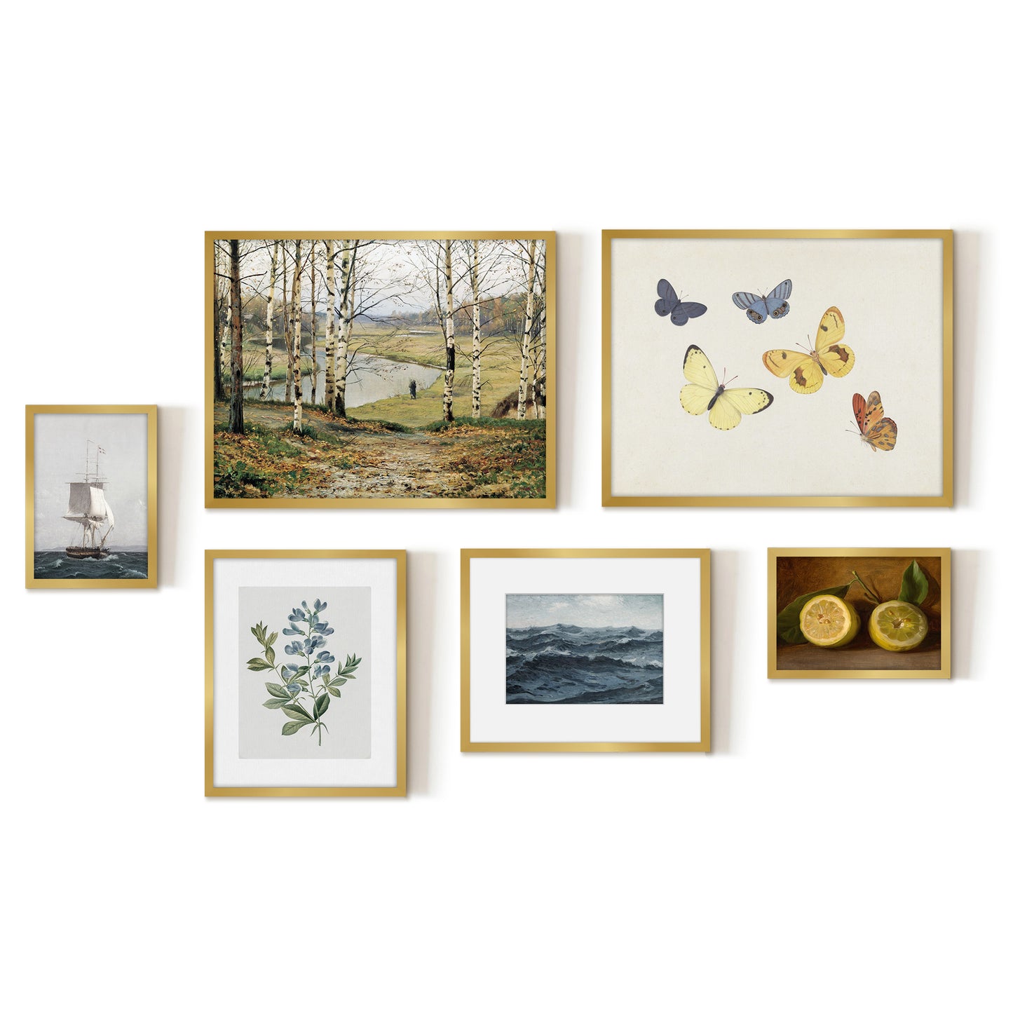 6 Piece Vintage Gallery Wall Art Set - Whimsical Nature's Palette Art by Maple + Oak