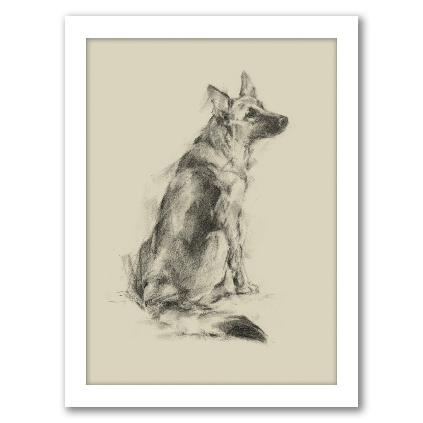 Puppy Dog Eyes V by Ethan Harper by World Art Group - Framed Print