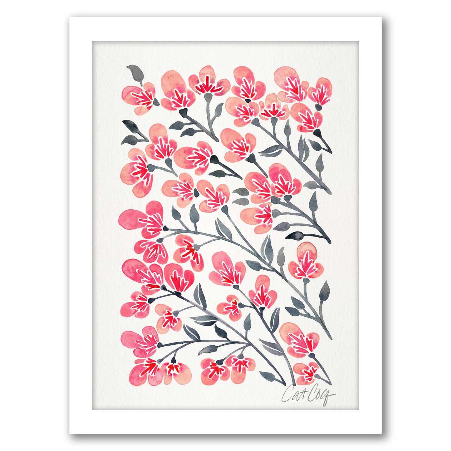 Cherry Blossoms by Cat Coquillette - Framed Print