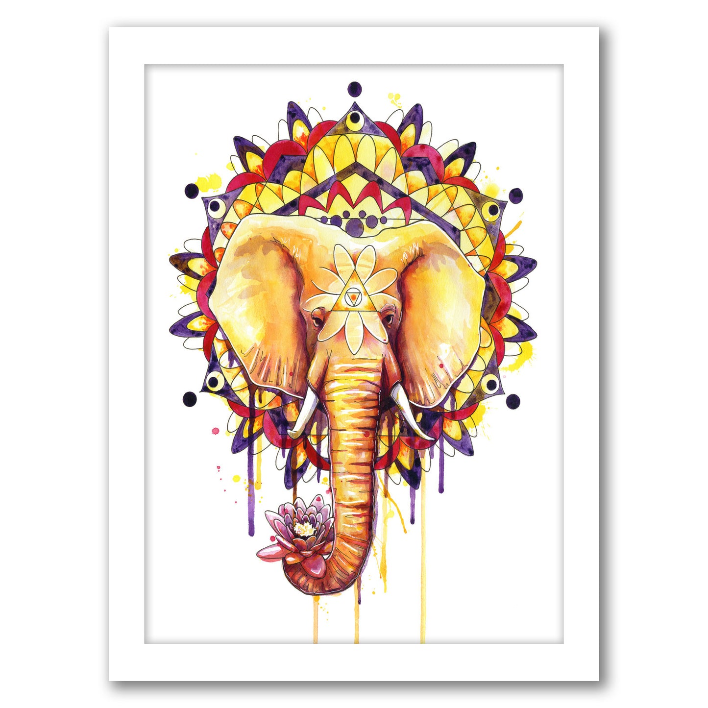 Elephant Mandala by Sam Nagel - Framed Print