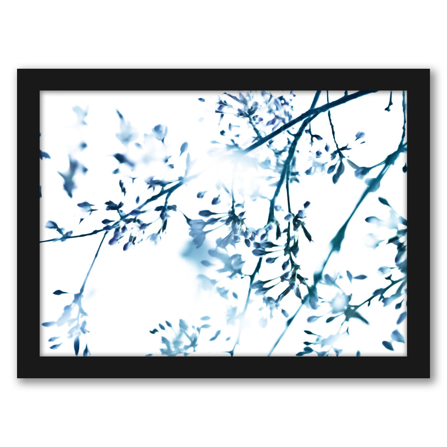 Cherry Blossom 8 by Mirja Paljakka - Framed Print