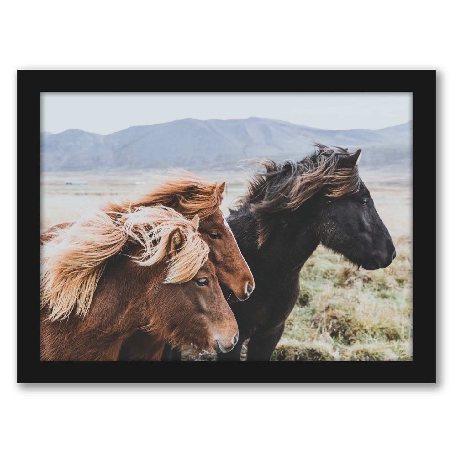 Eastern Region Iceland by Luke Gram - Framed Print