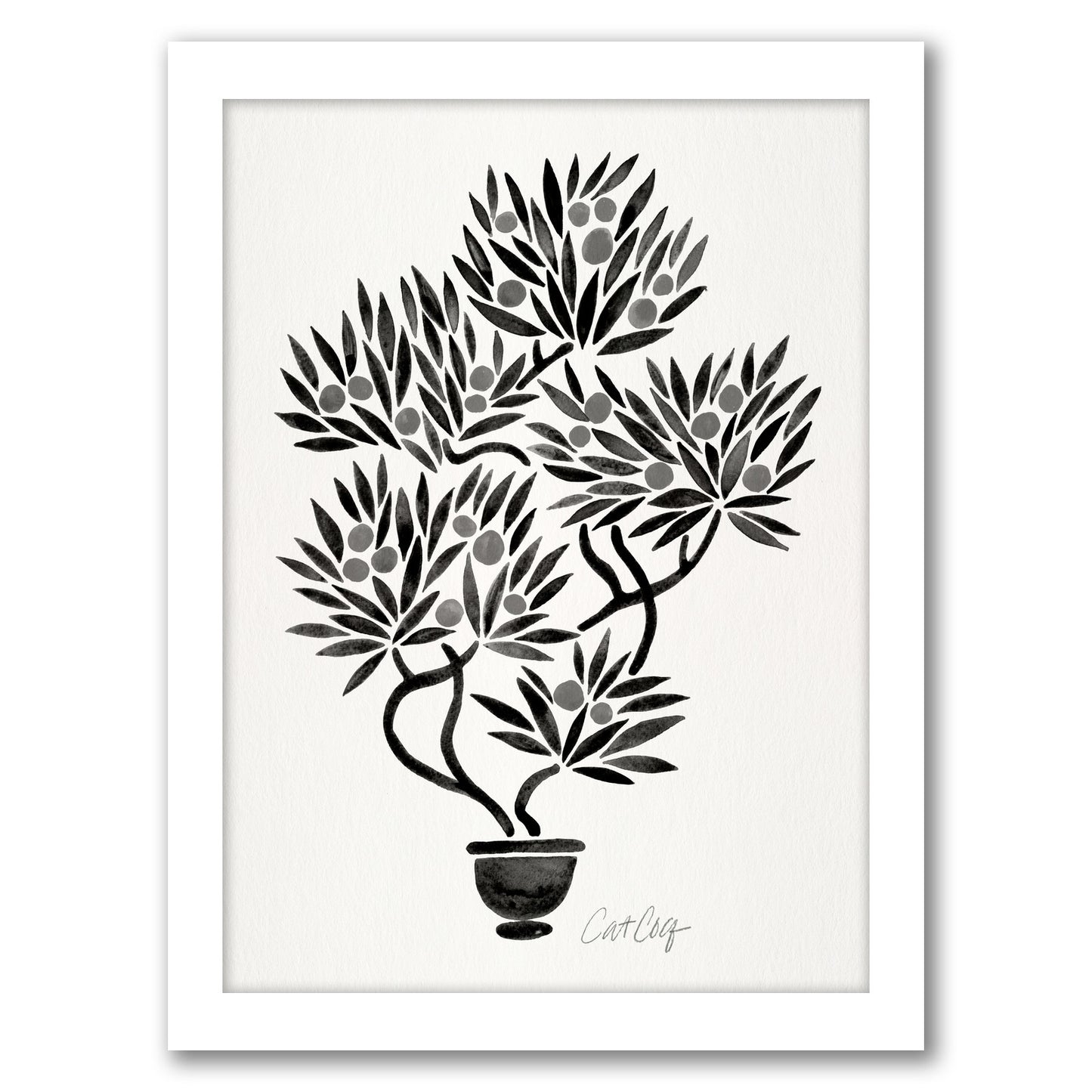 Black Bonsai by Cat Coquillette - Framed Print