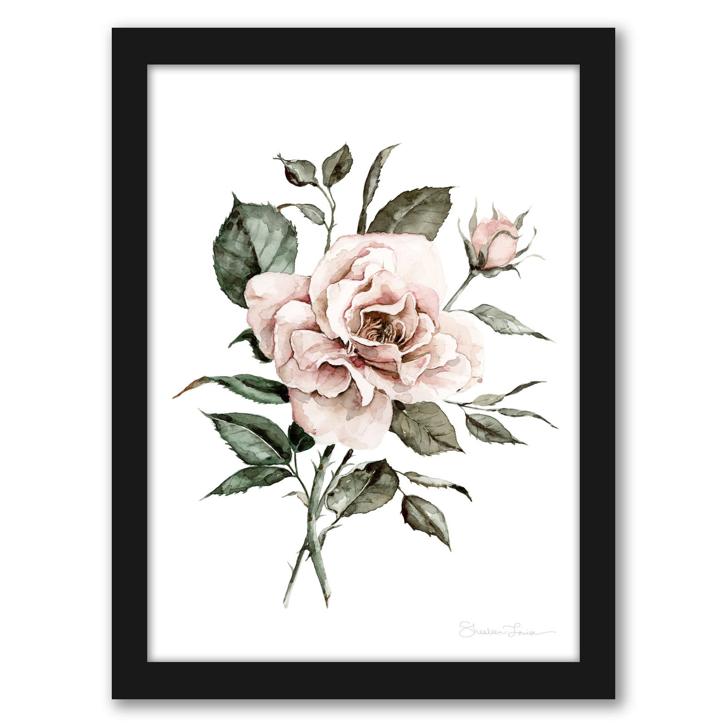 Faded Pink Rose by Shealeen Louise - Framed Print