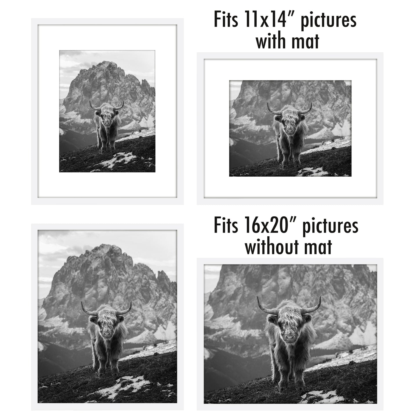 Set of 2 - Classic Gallery Picture Frame with Mat | Galleria Collection