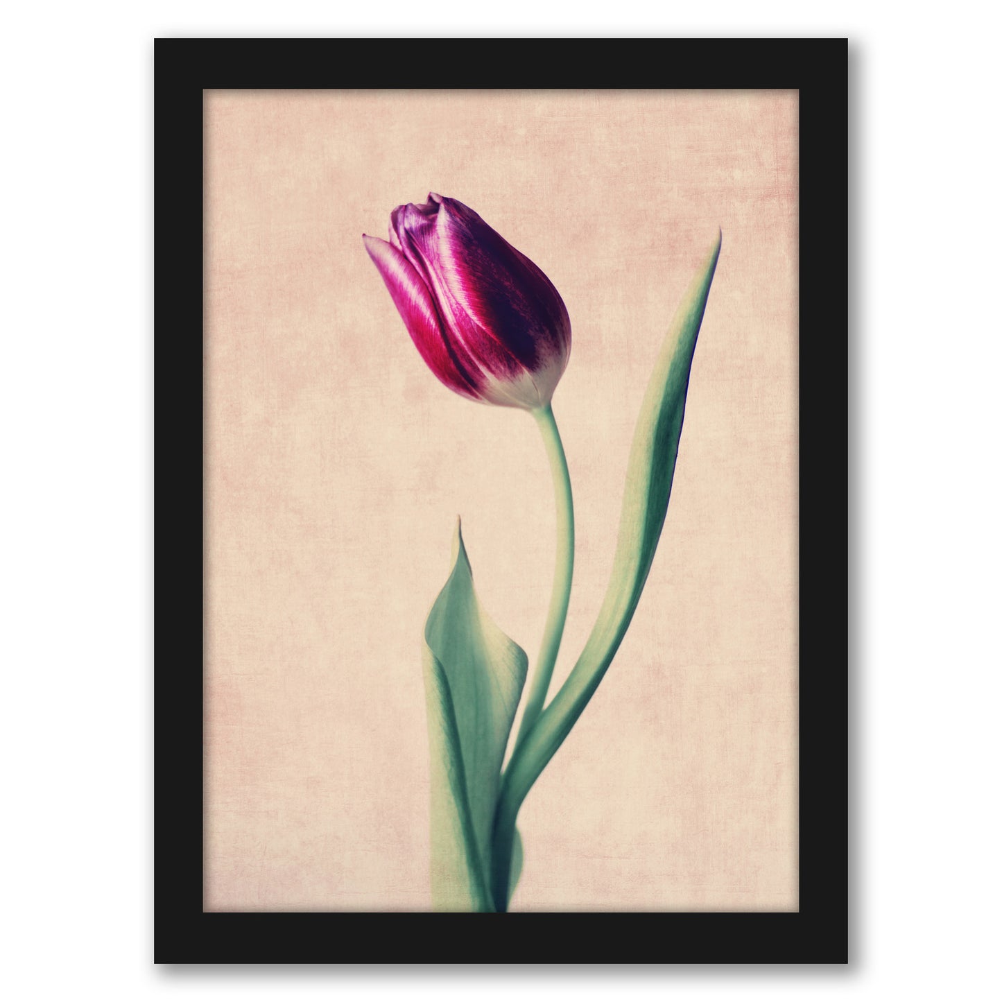 Grace by Ingrid Beddoes - Framed Print