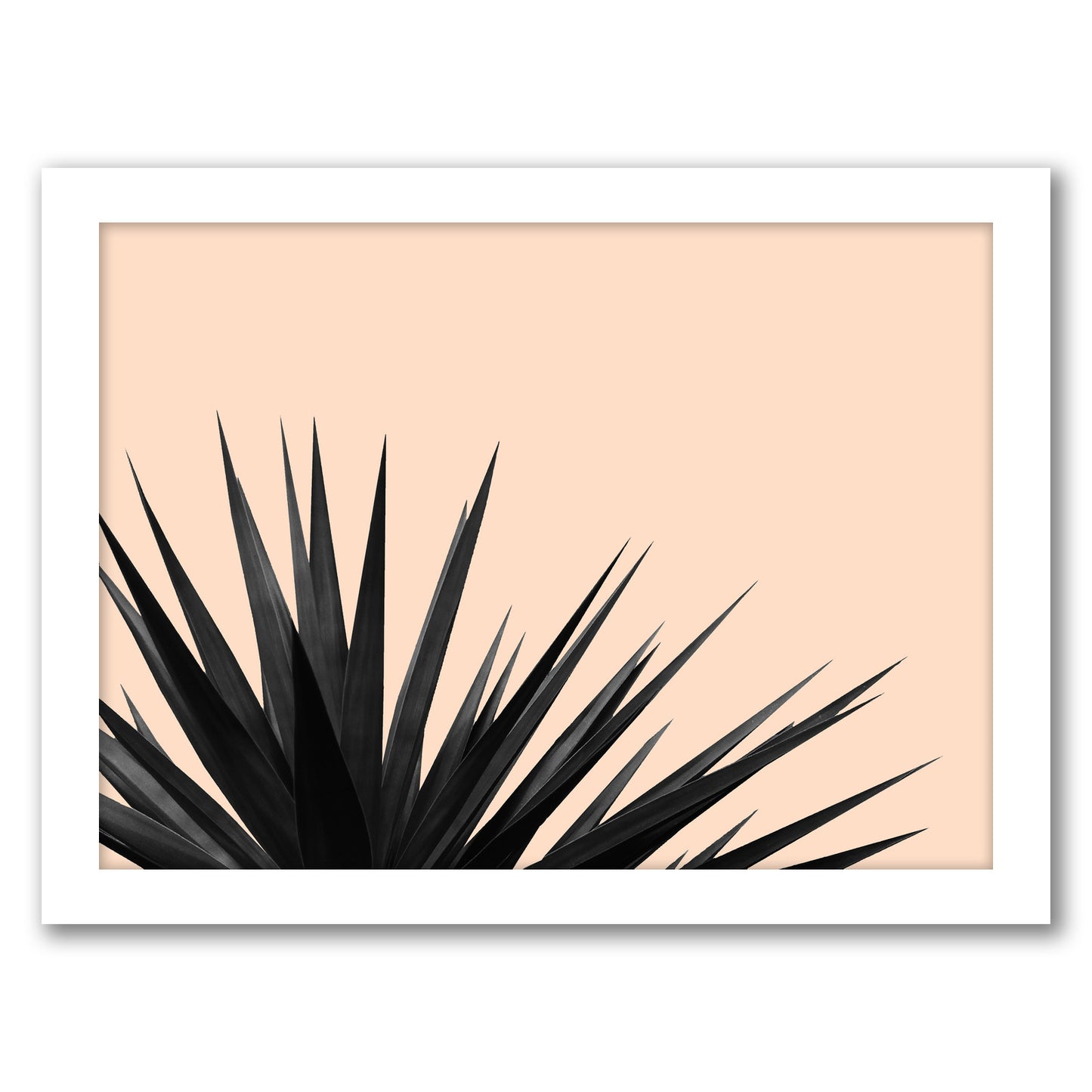 Black Palms On Pink by Emanuela Carratoni - Framed Print