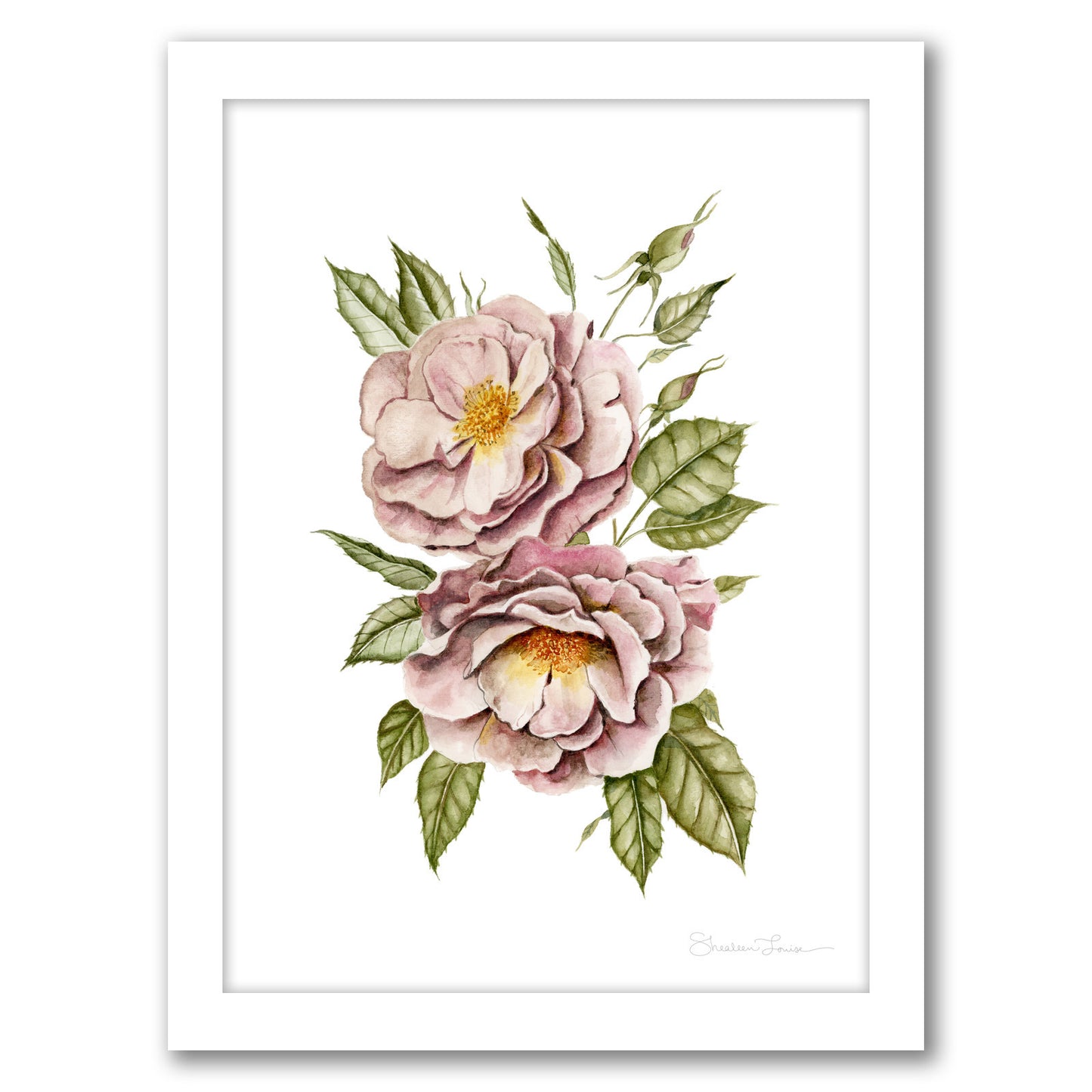 Matangi Roses by Shealeen Louise - Framed Print