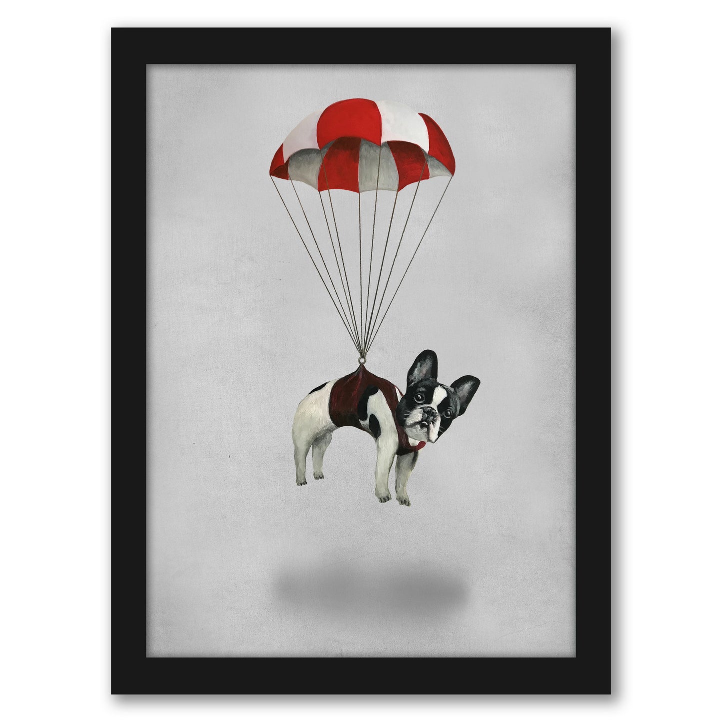 Bulldog With Parachute By Coco De Paris - Framed Print
