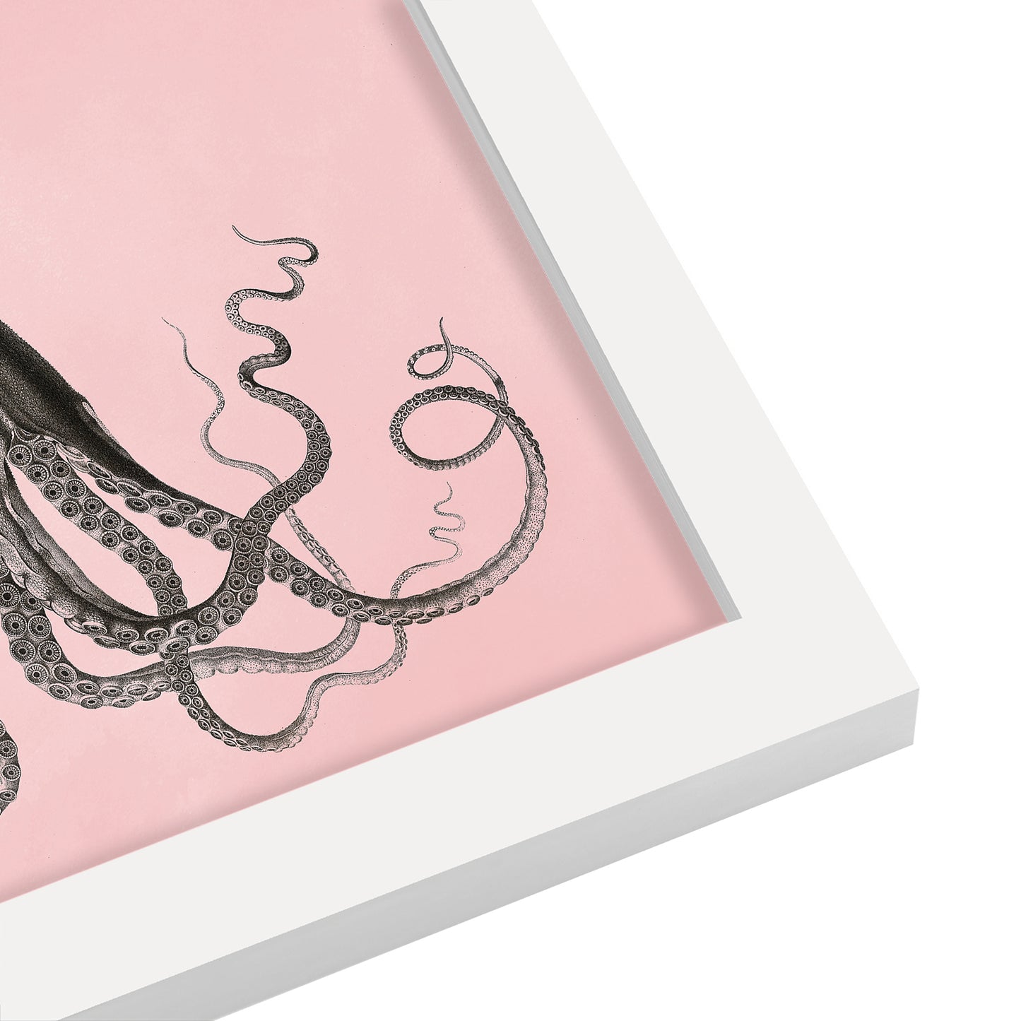 Mil Pink Choco Octopus by Coastal Print & Design - Framed Print