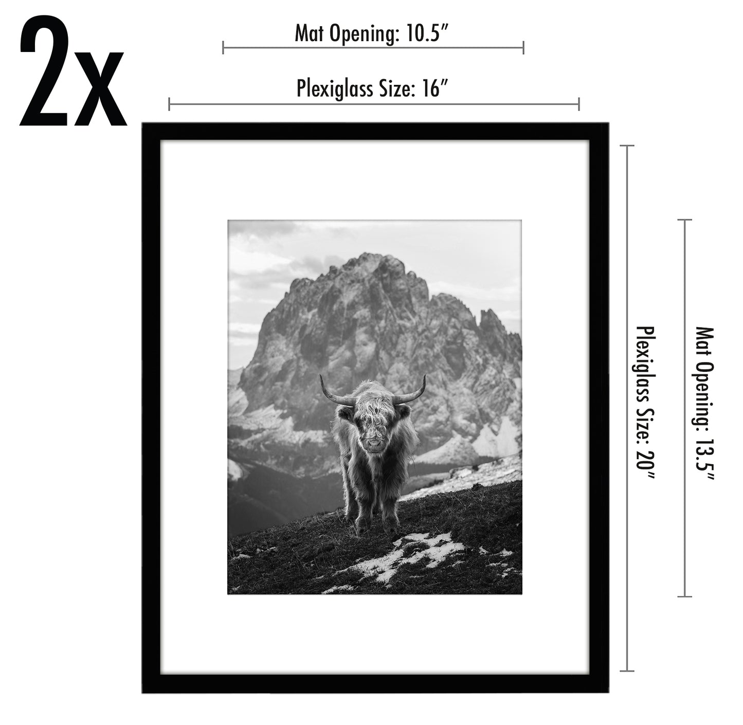 Set of 2 - Classic Gallery Picture Frame with Mat | Galleria Collection