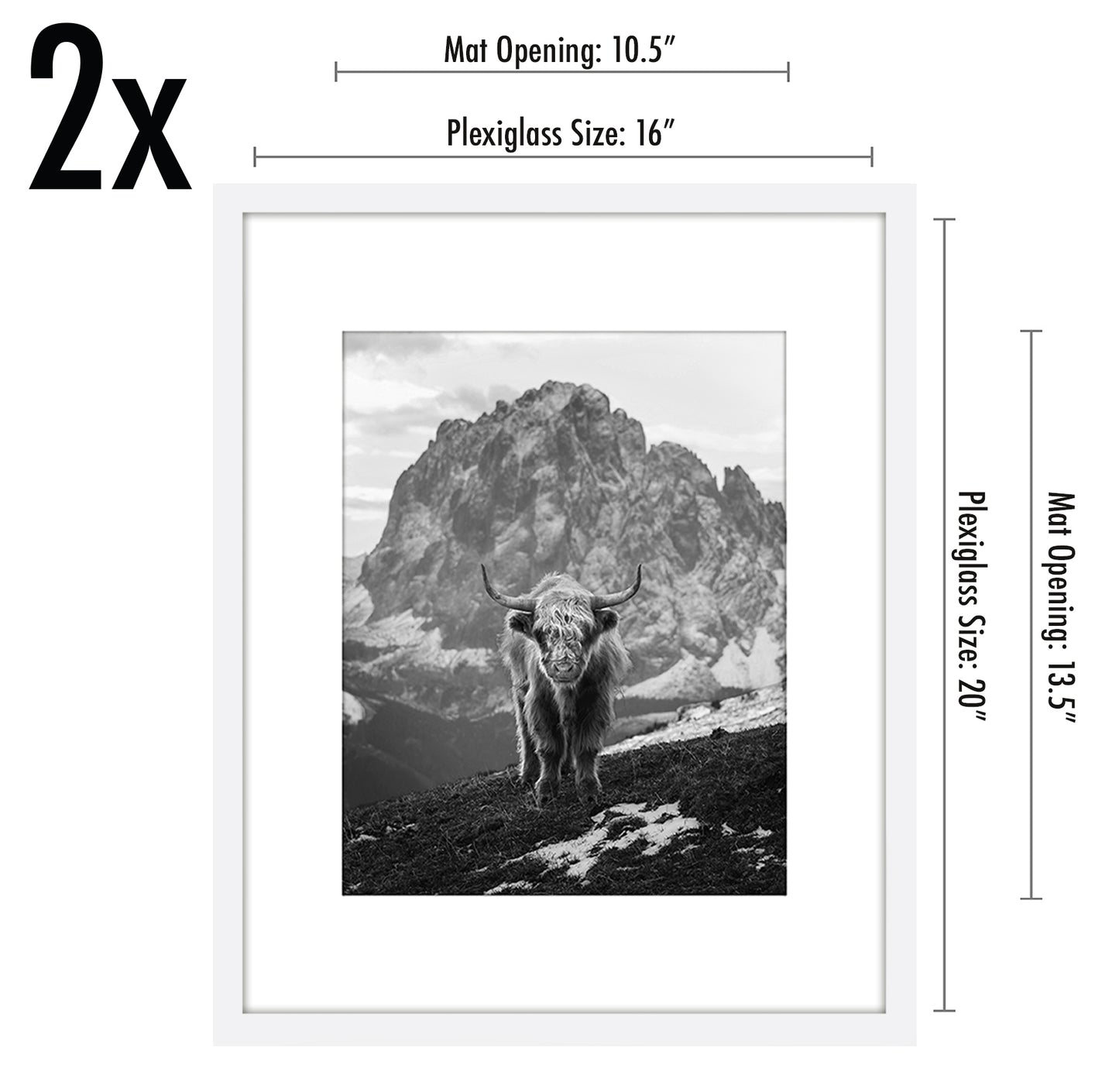 Set of 2 - Classic Gallery Picture Frame with Mat | Galleria Collection