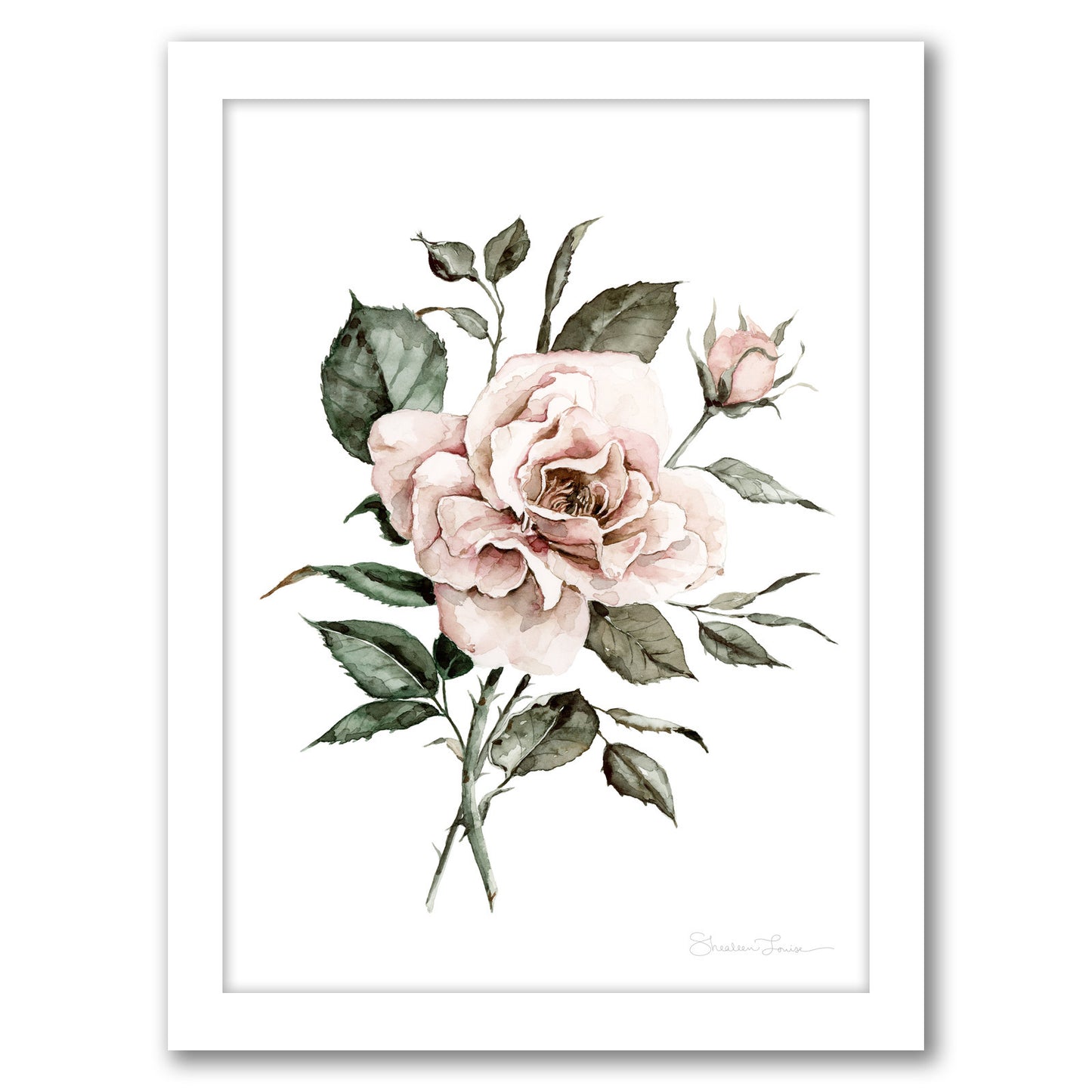 Faded Pink Rose by Shealeen Louise - Framed Print