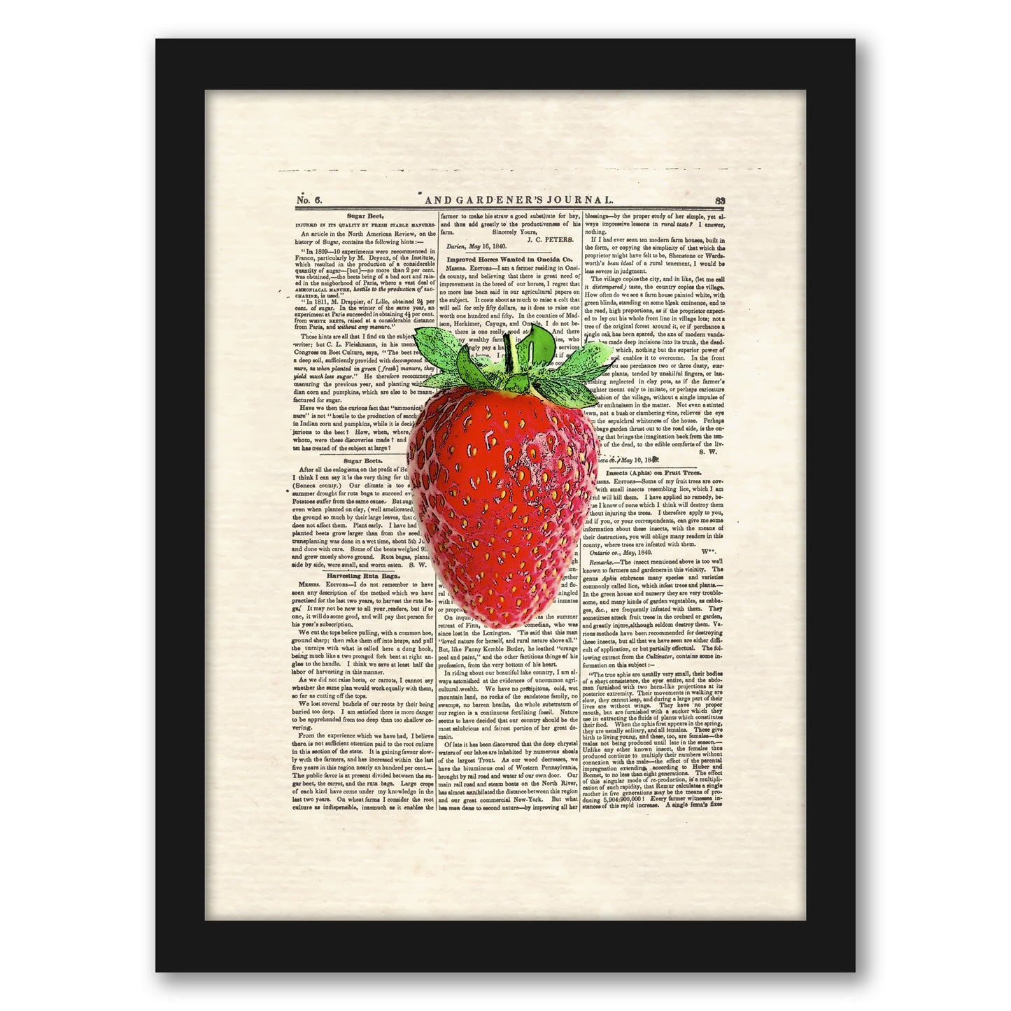 strawberry by Matt Dinniman Framed Print