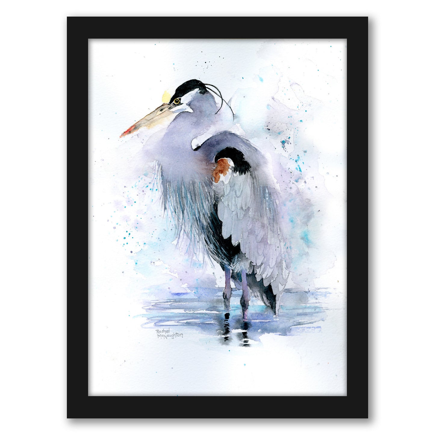 Splashy Heron by Rachel McNaughton Framed Print