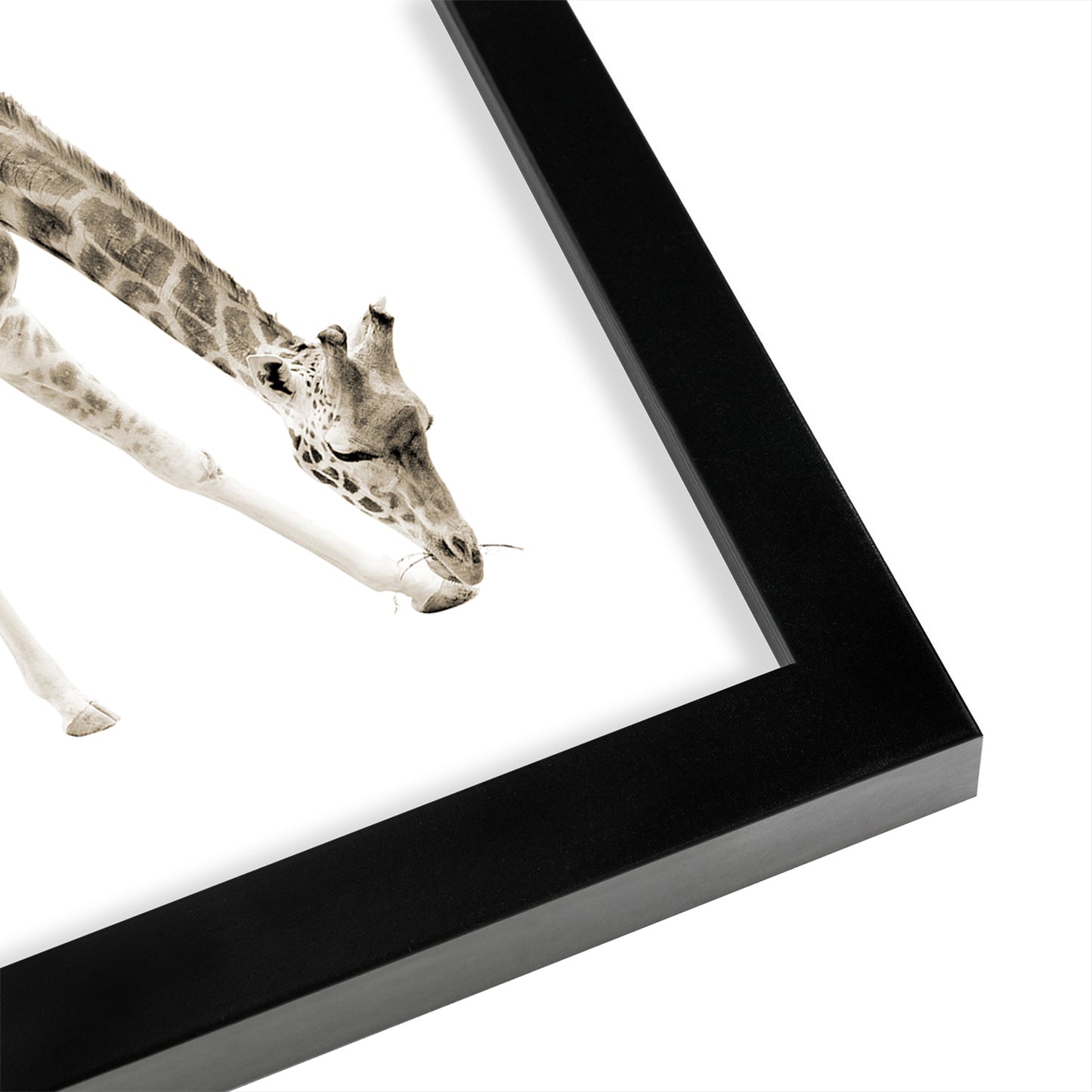 Beige Giraffe 3 By Wall + Wonder - Framed Print