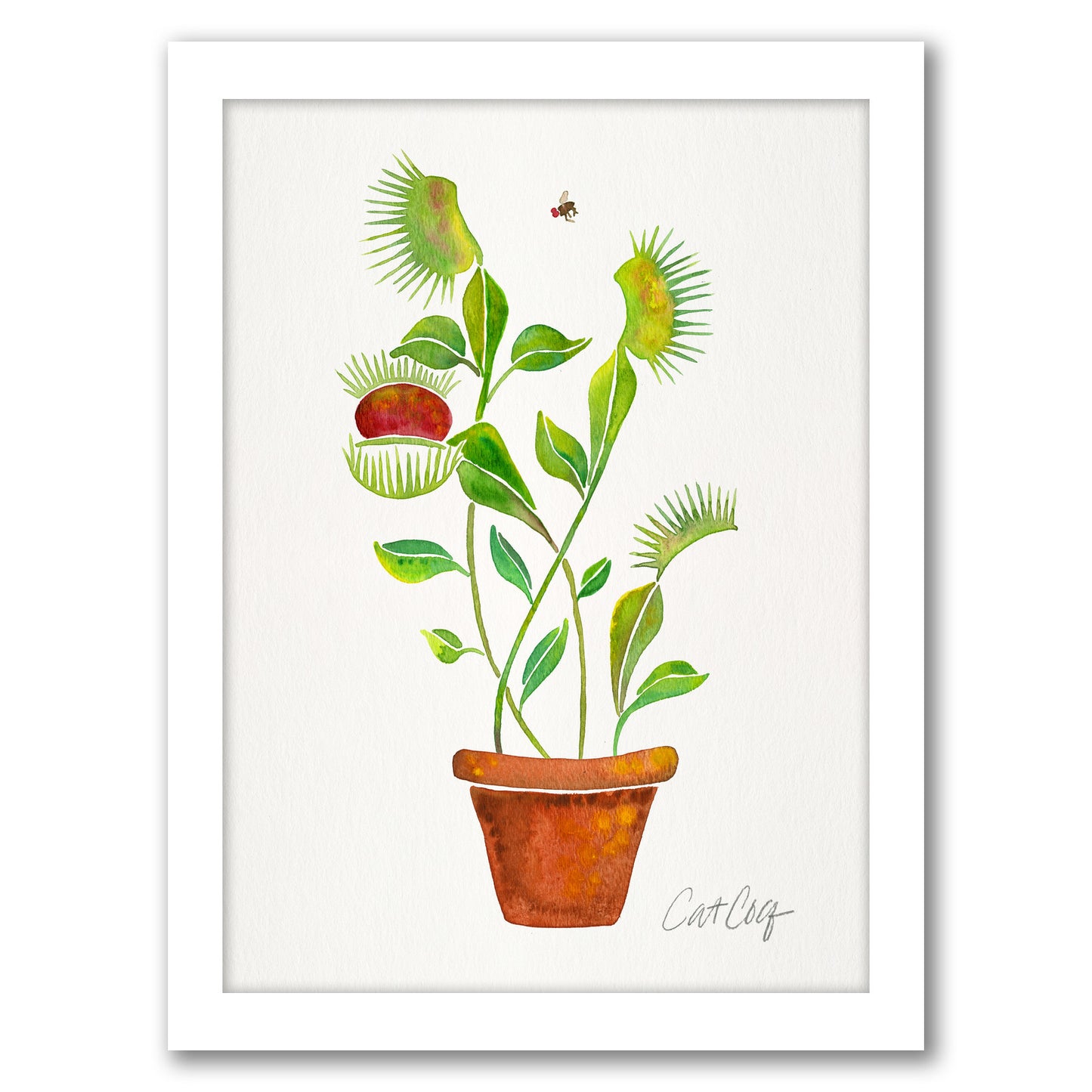 Venus Fly Trap by Cat Coquillette - Framed Print