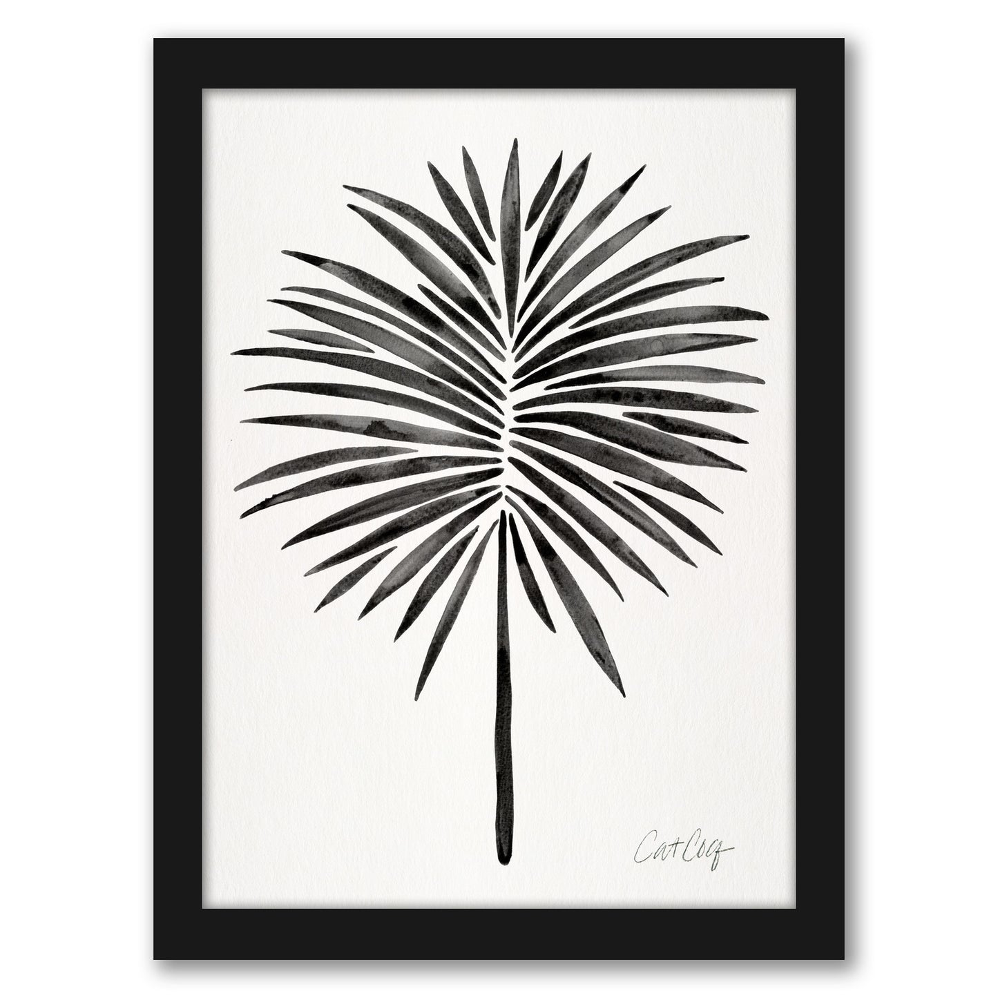 Black Fan Palm by Cat Coquillette - Framed Print