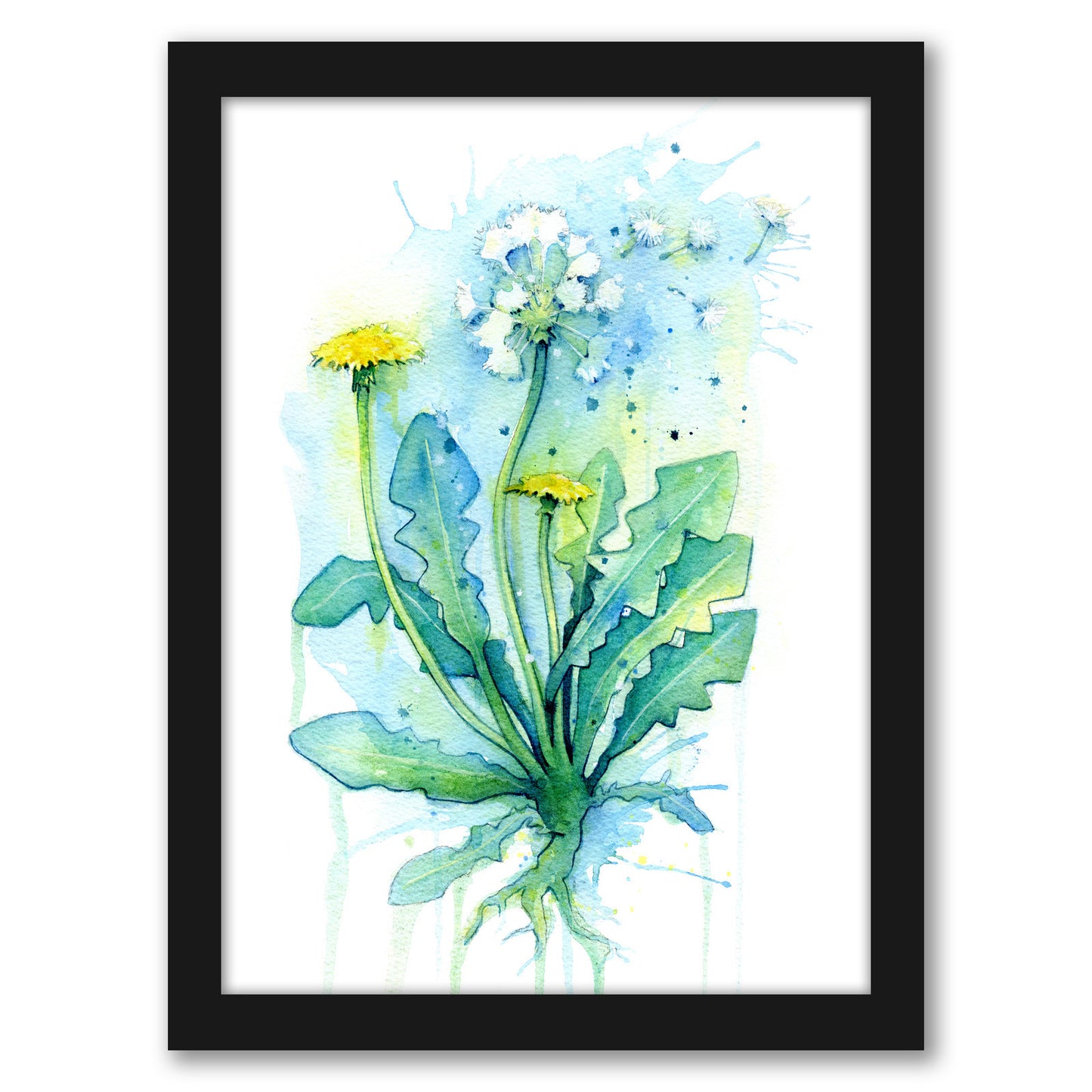 Dandelion by Sam Nagel - Framed Print