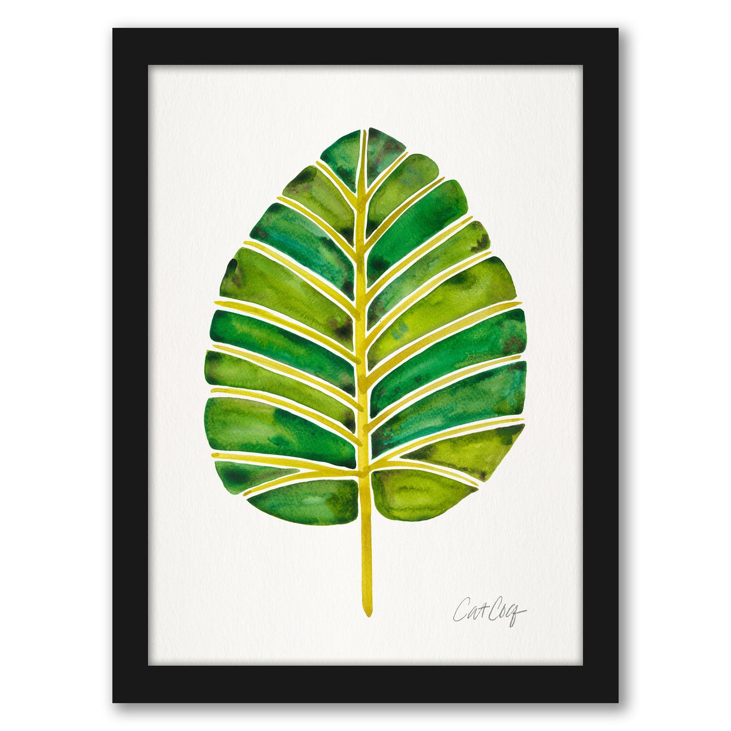 Elephant Ear Alocasia by Cat Coquillette - Framed Print