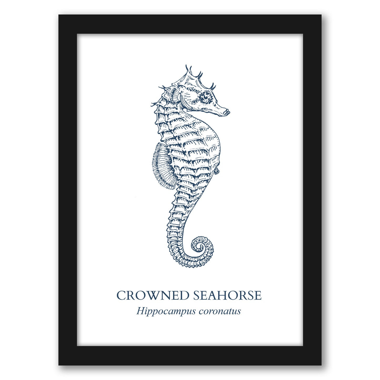 Seahorse Sea by Samantha Ranlet Framed Print