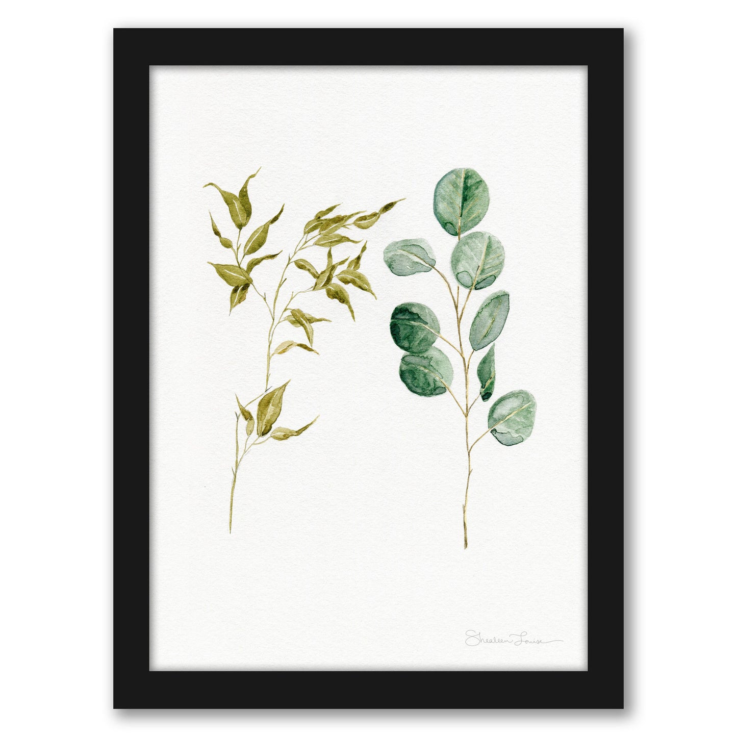 Two Eucalyptus Pieces by Shealeen Louise - Framed Print