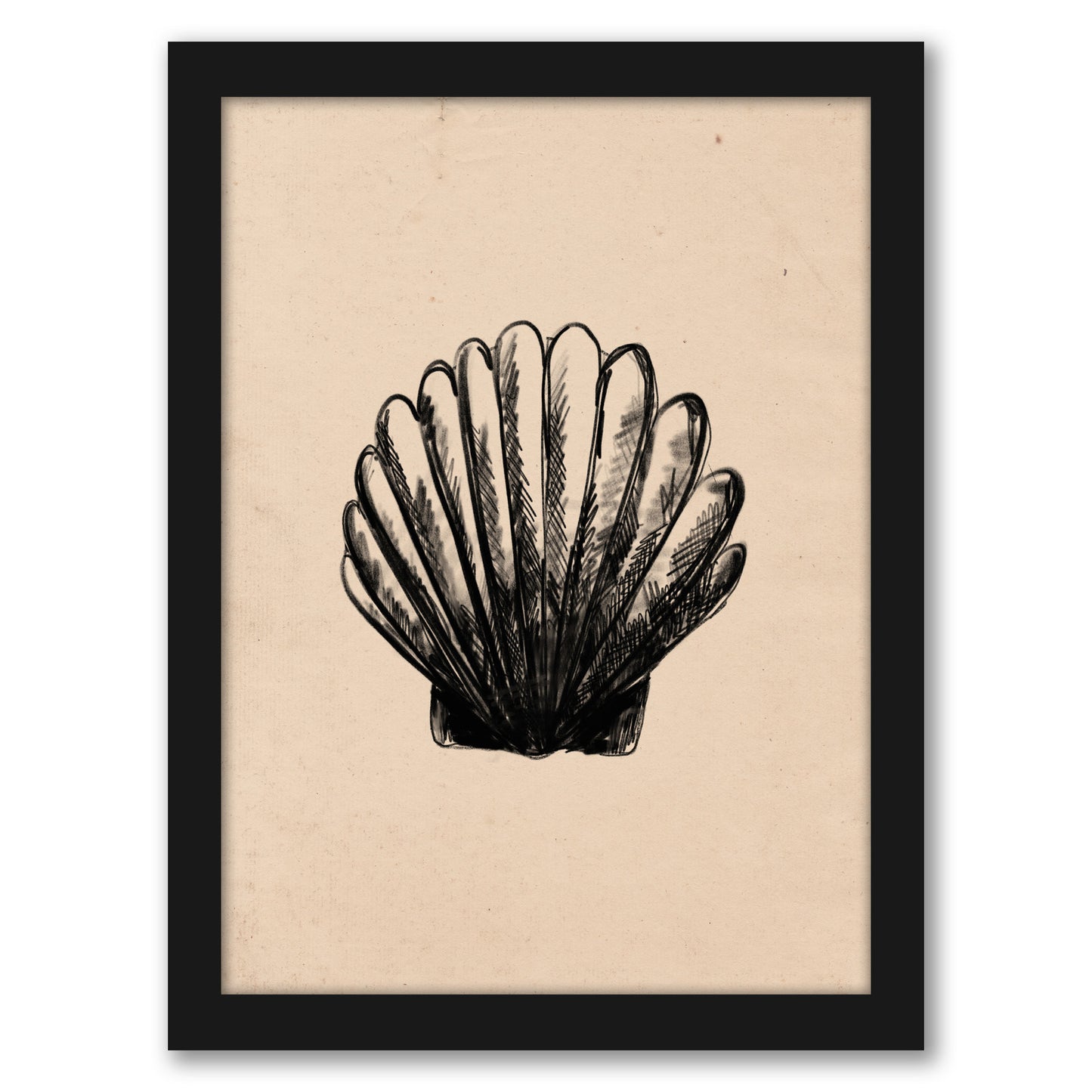 Illustrated Sea Shell 3 by Jetty Home - Framed Print