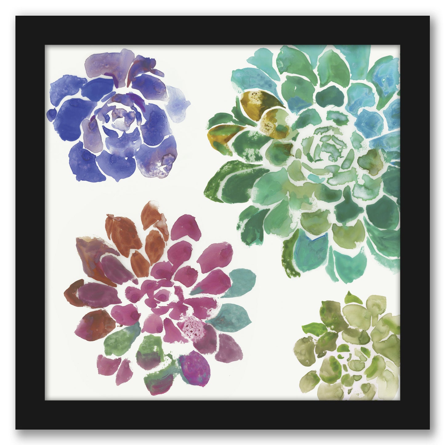 Water Succulents Ii by PI Creative Art - Framed Print