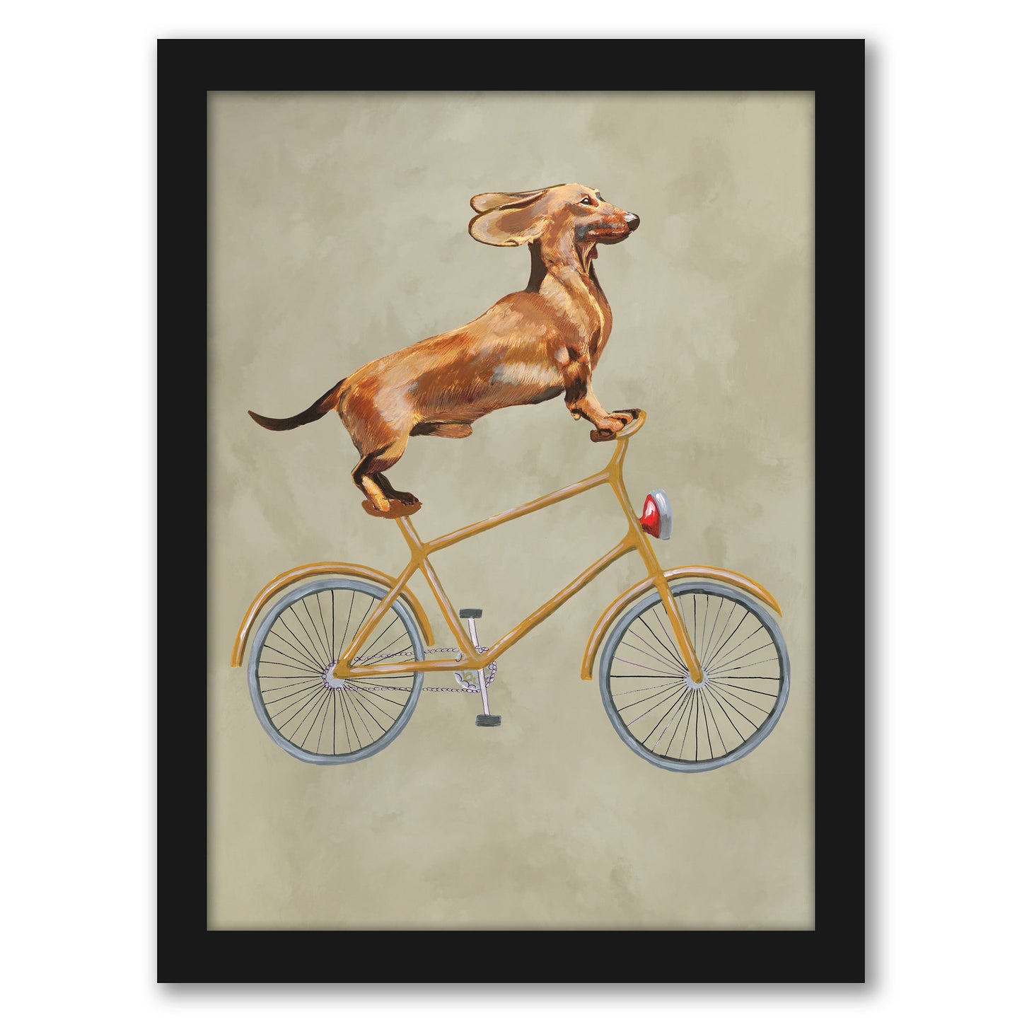 Dachshund On Bicycle By Coco De Paris - Framed Print
