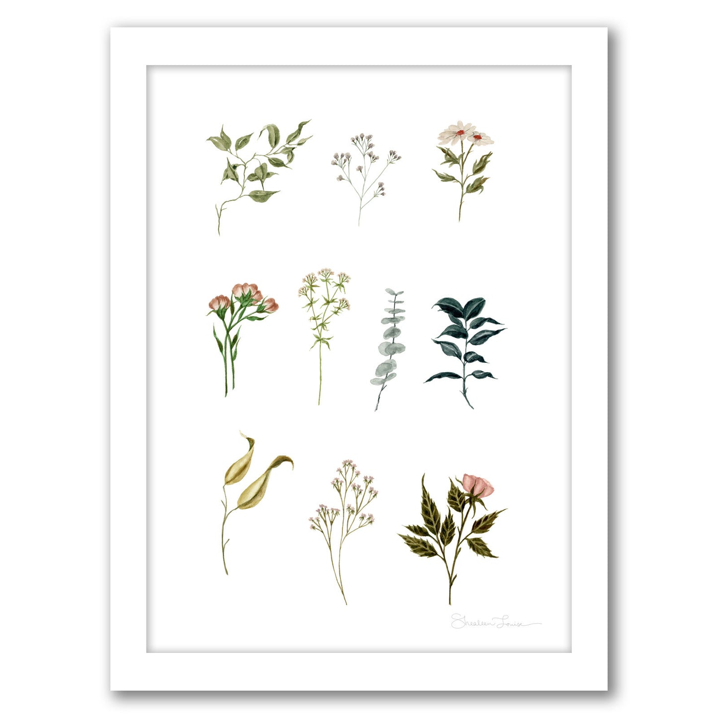 Delicate Botanica Pieces by Shealeen Louise - Framed Print