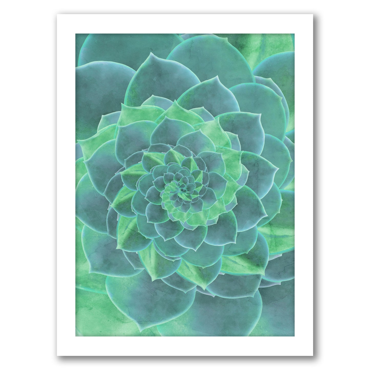Geometric Succulent by Emanuela Carratoni - Framed Print