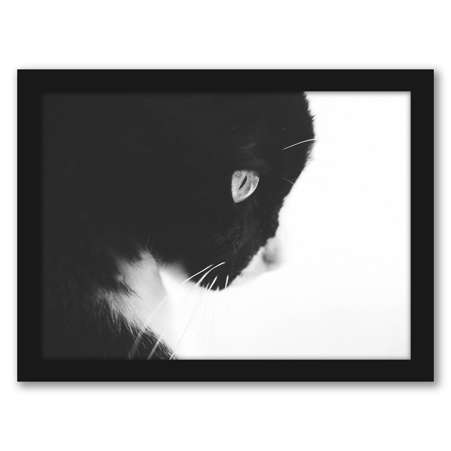 Day Dreaming Iii by Ingrid Beddoes - Framed Print