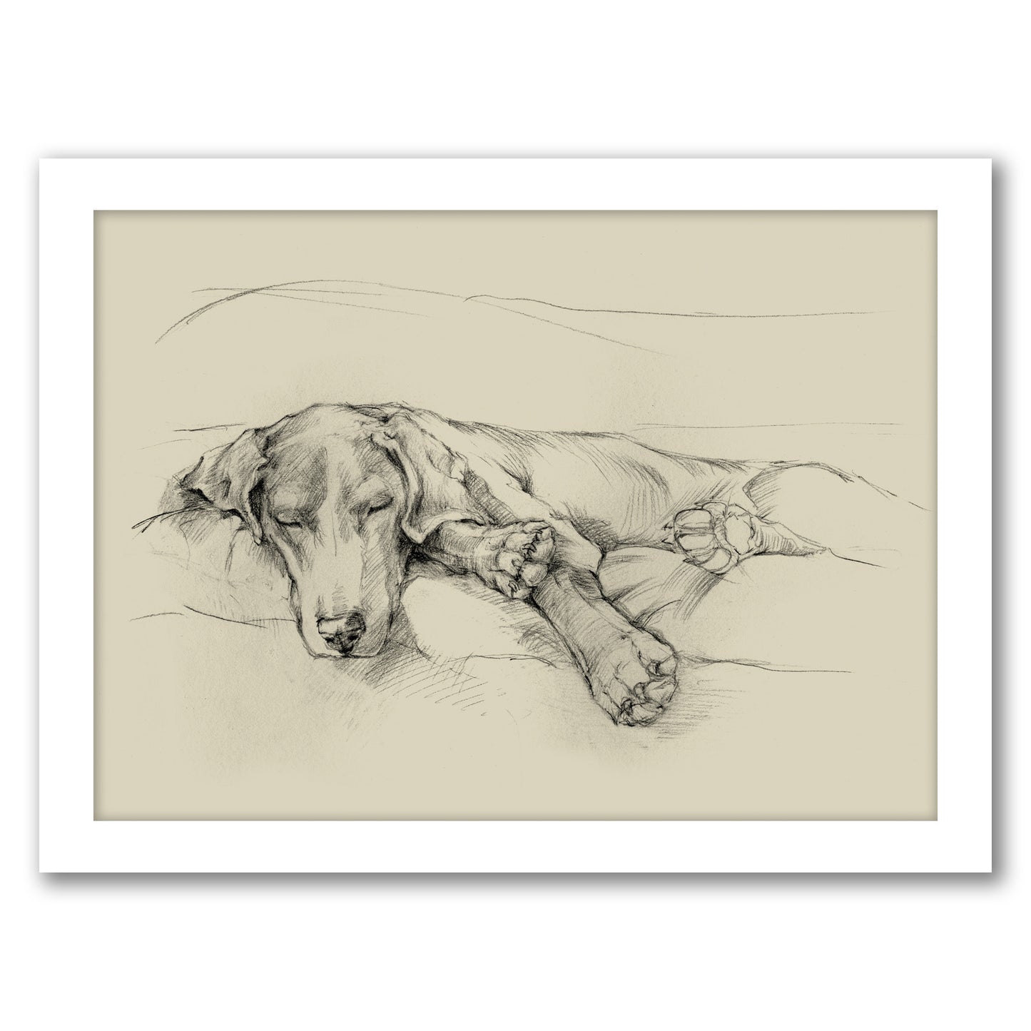 Dog Days II by Ethan Harper by World Art Group - Framed Print