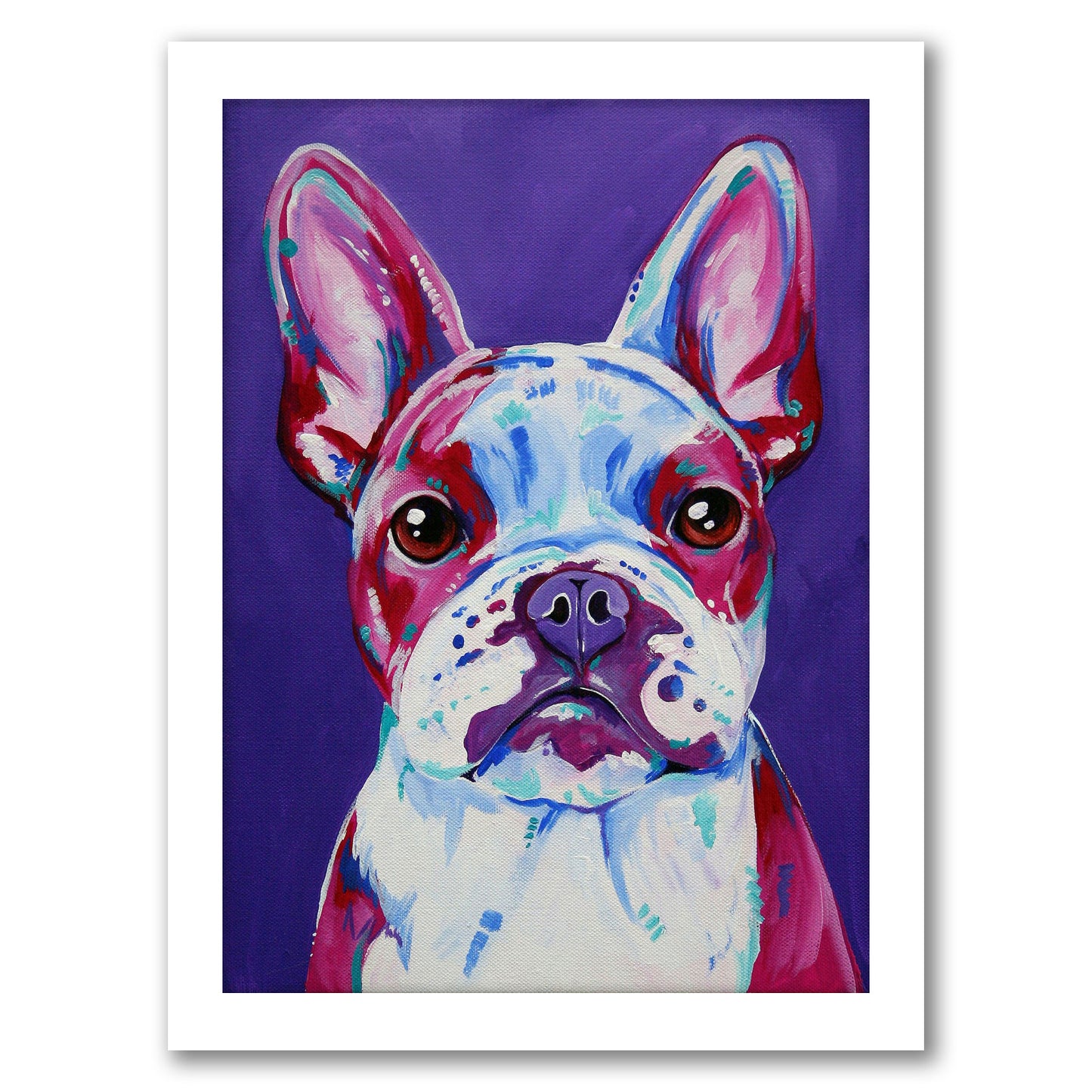 French Bulldog by Eve Izzett - Framed Print
