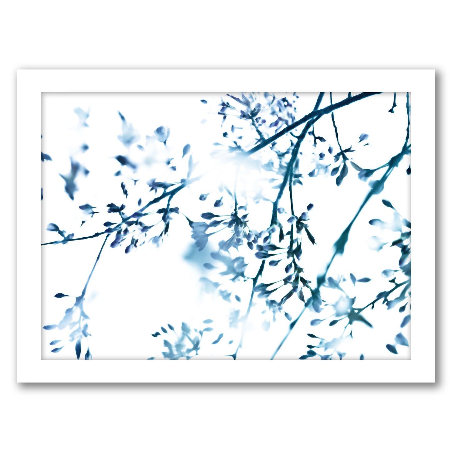 Cherry Blossom 8 by Mirja Paljakka - Framed Print